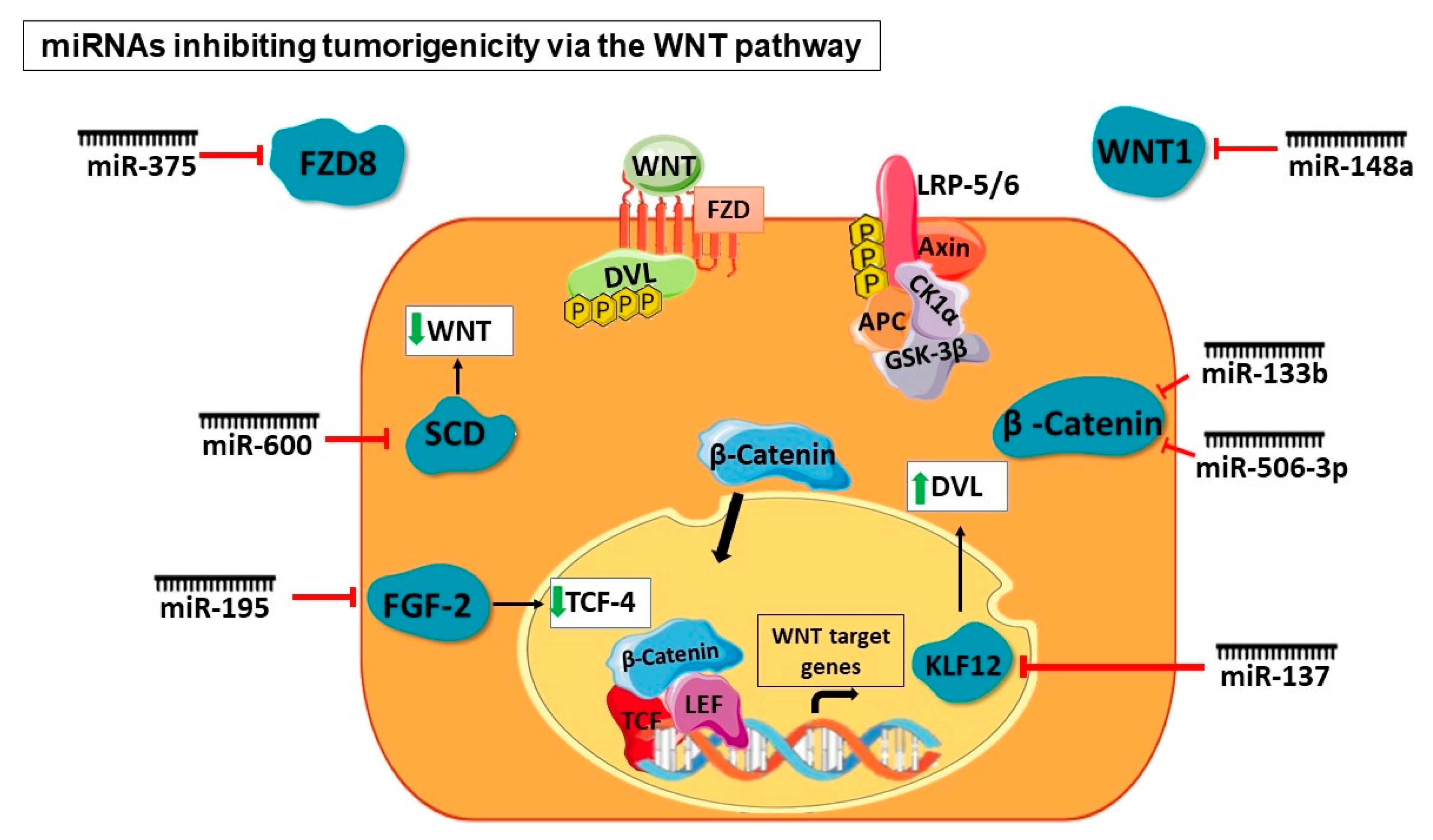 Cancers 16 00957 g006