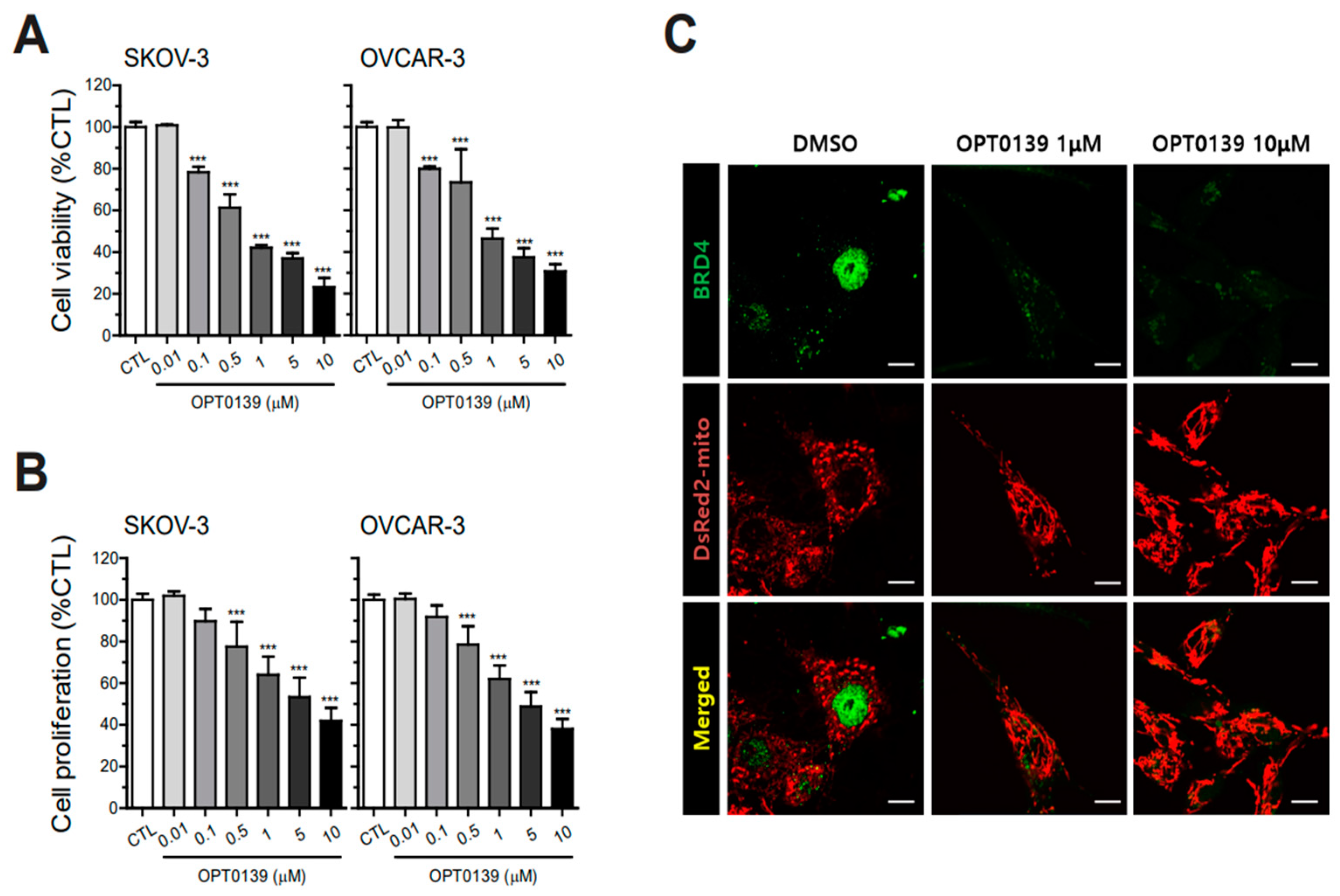 Cancers 16 00959 g002