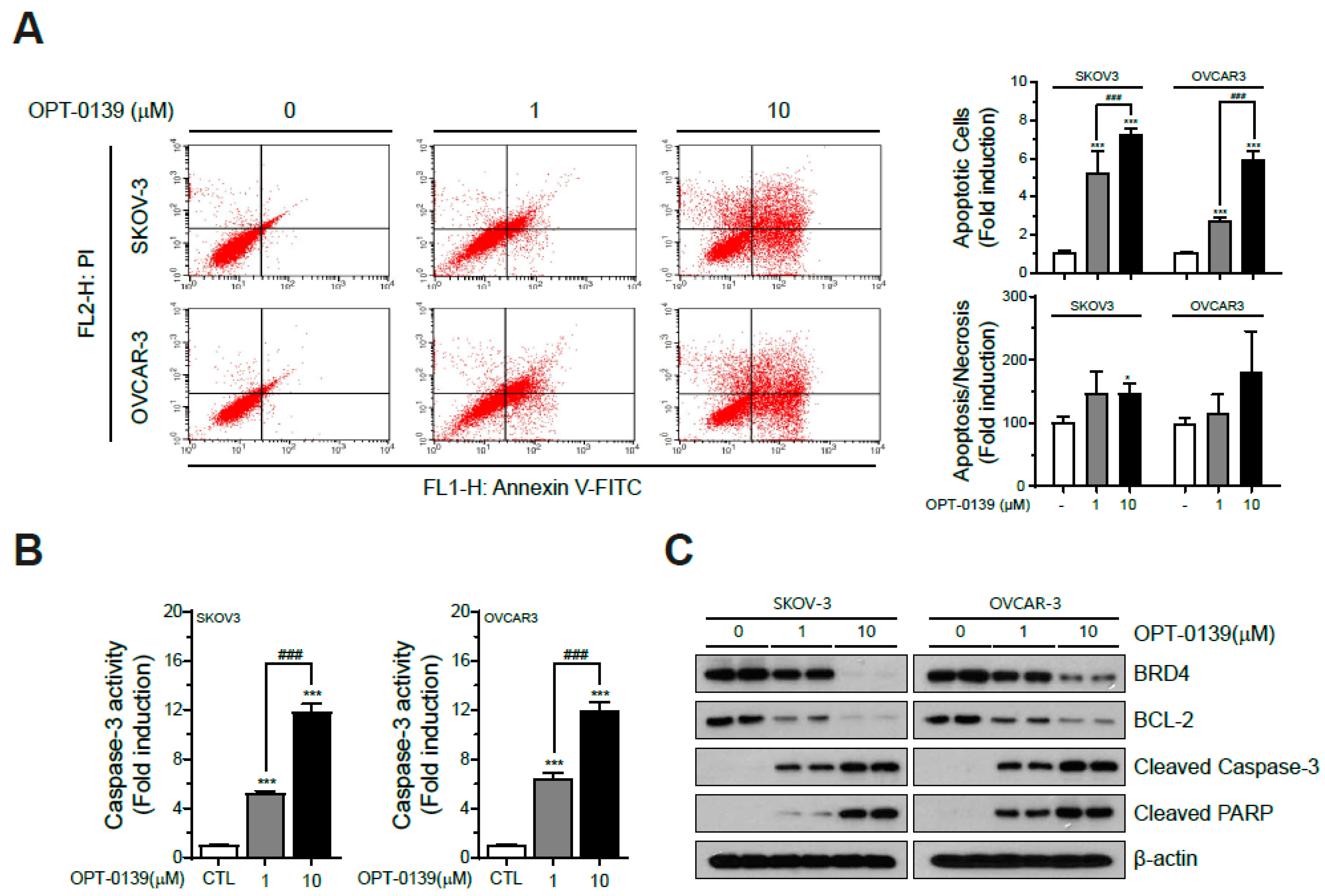 Cancers 16 00959 g003