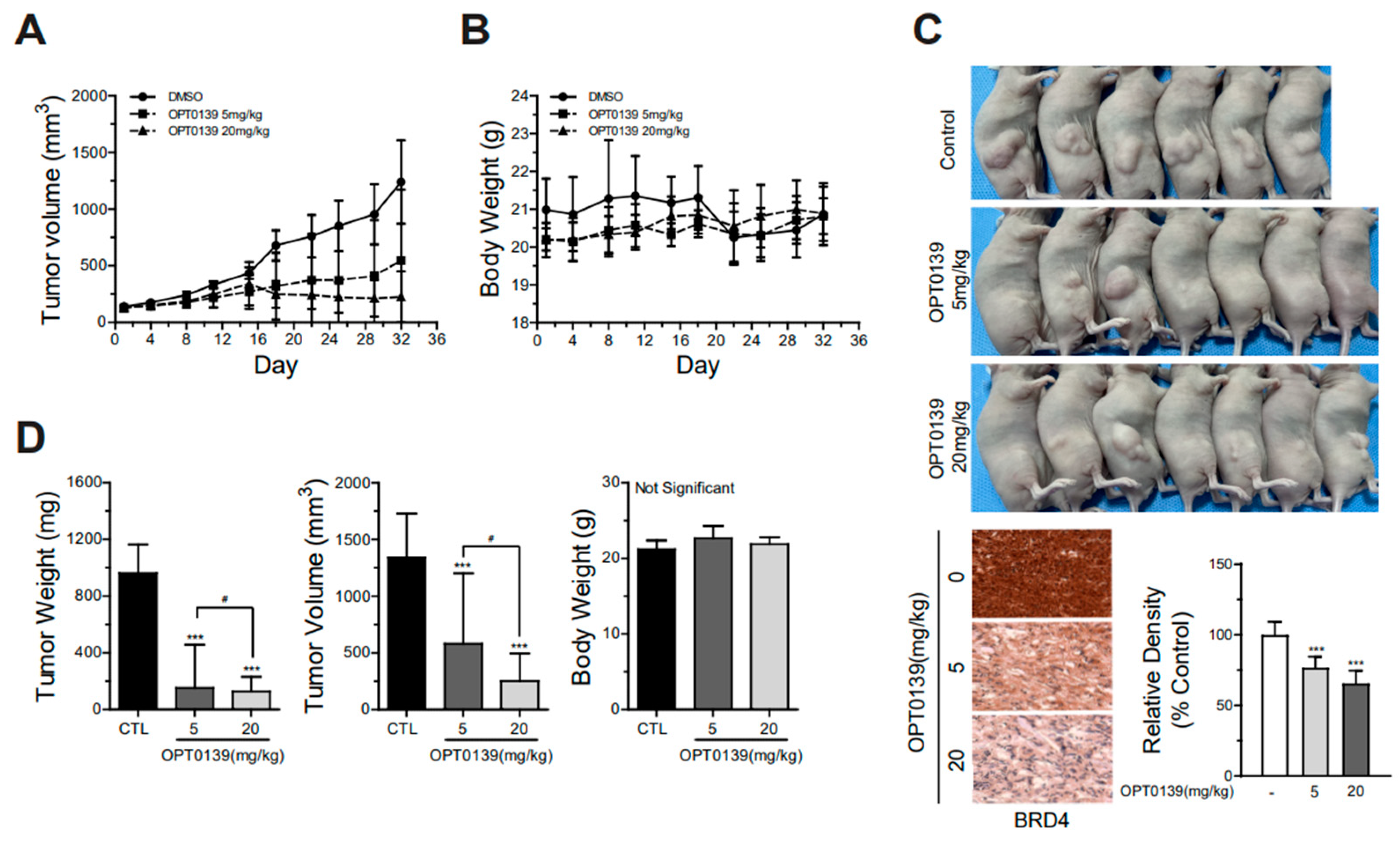 Cancers 16 00959 g005