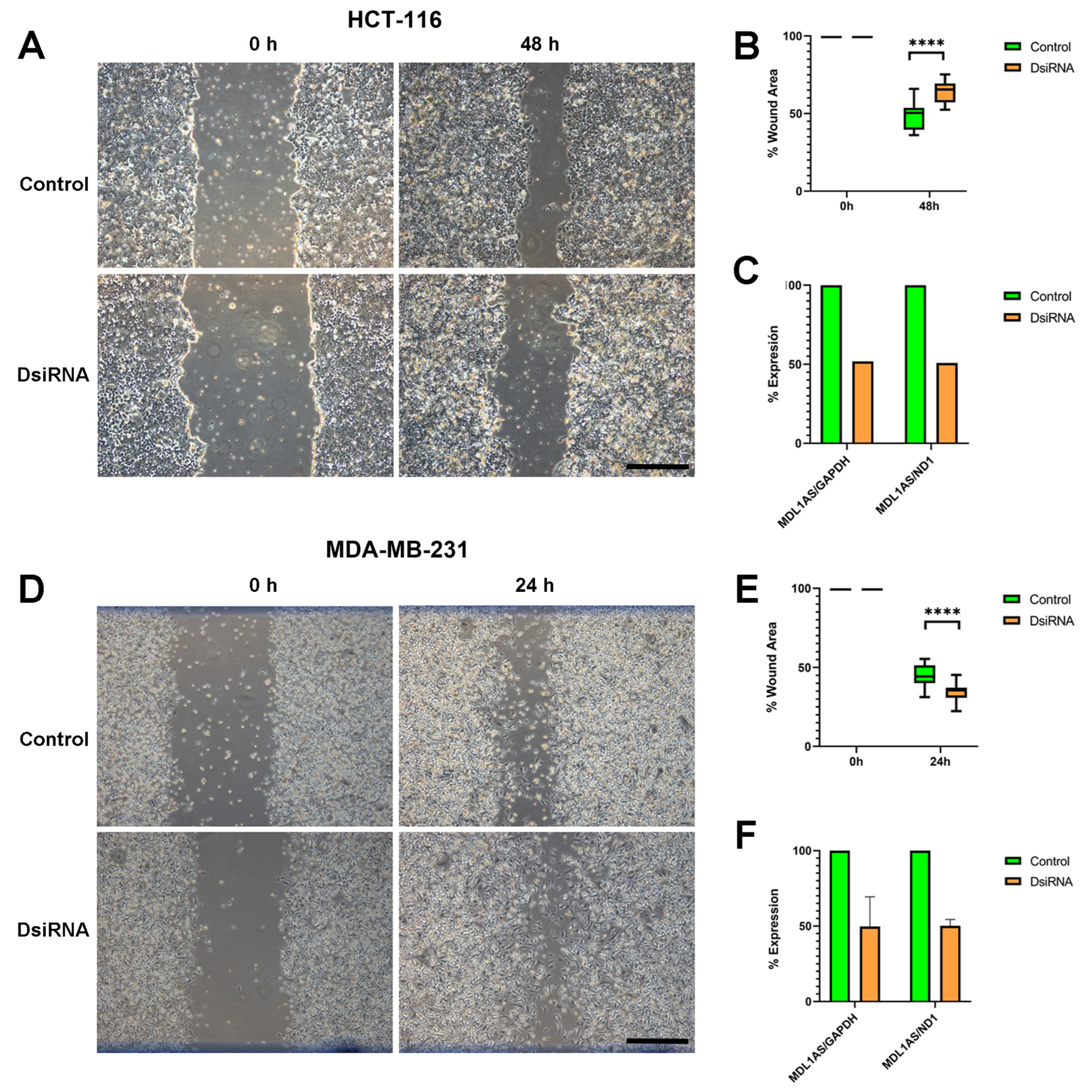 Cancers 16 00960 g007