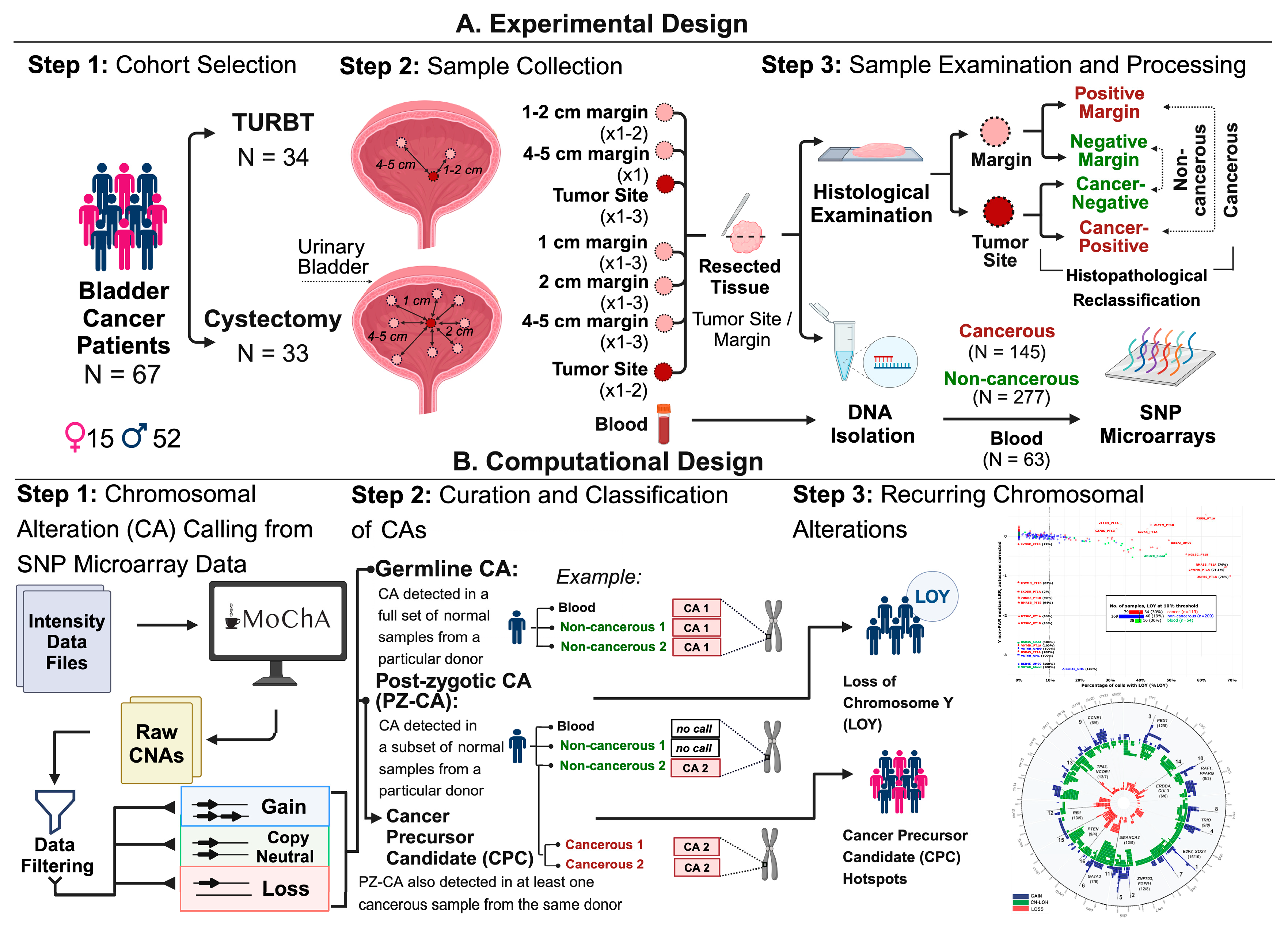 Cancers 16 00961 g001