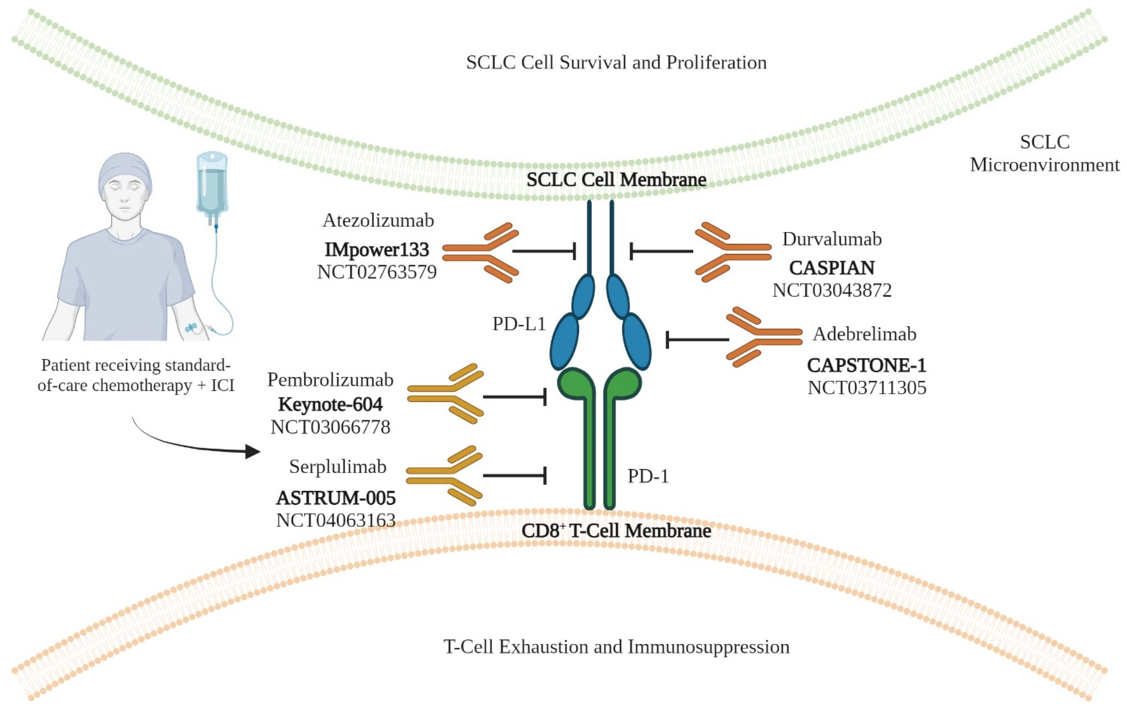 Cancers 16 00963 g002 Cancers 16 00963 g002