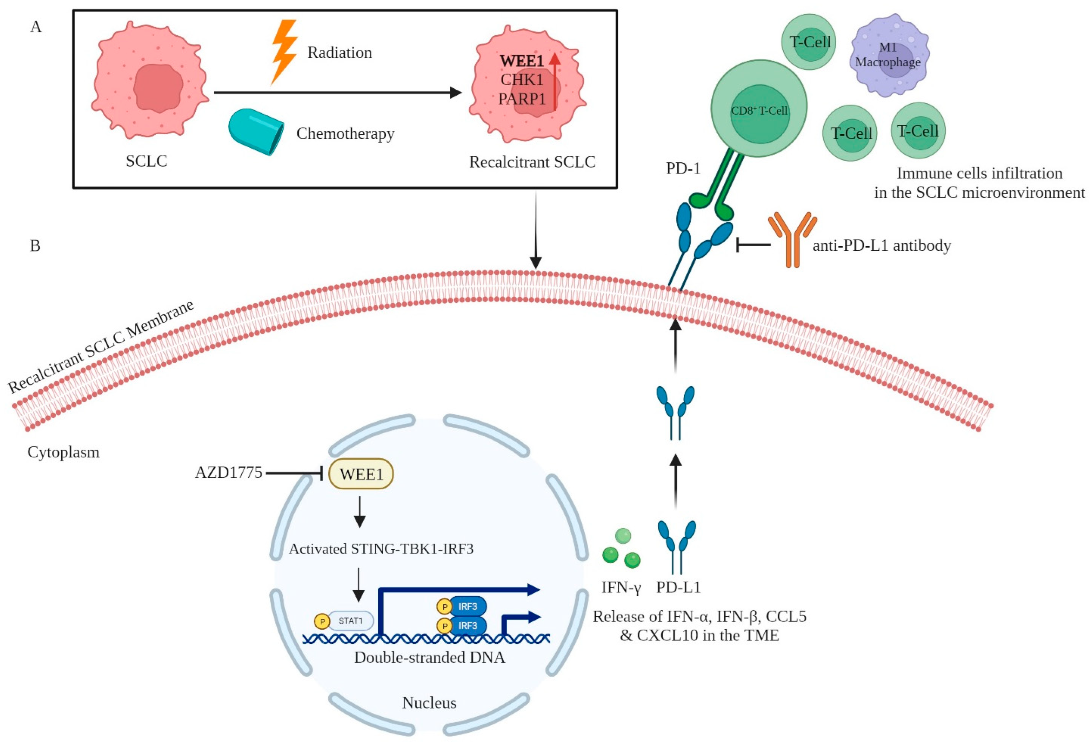 Cancers 16 00963 g003 Cancers 16 00963 g003