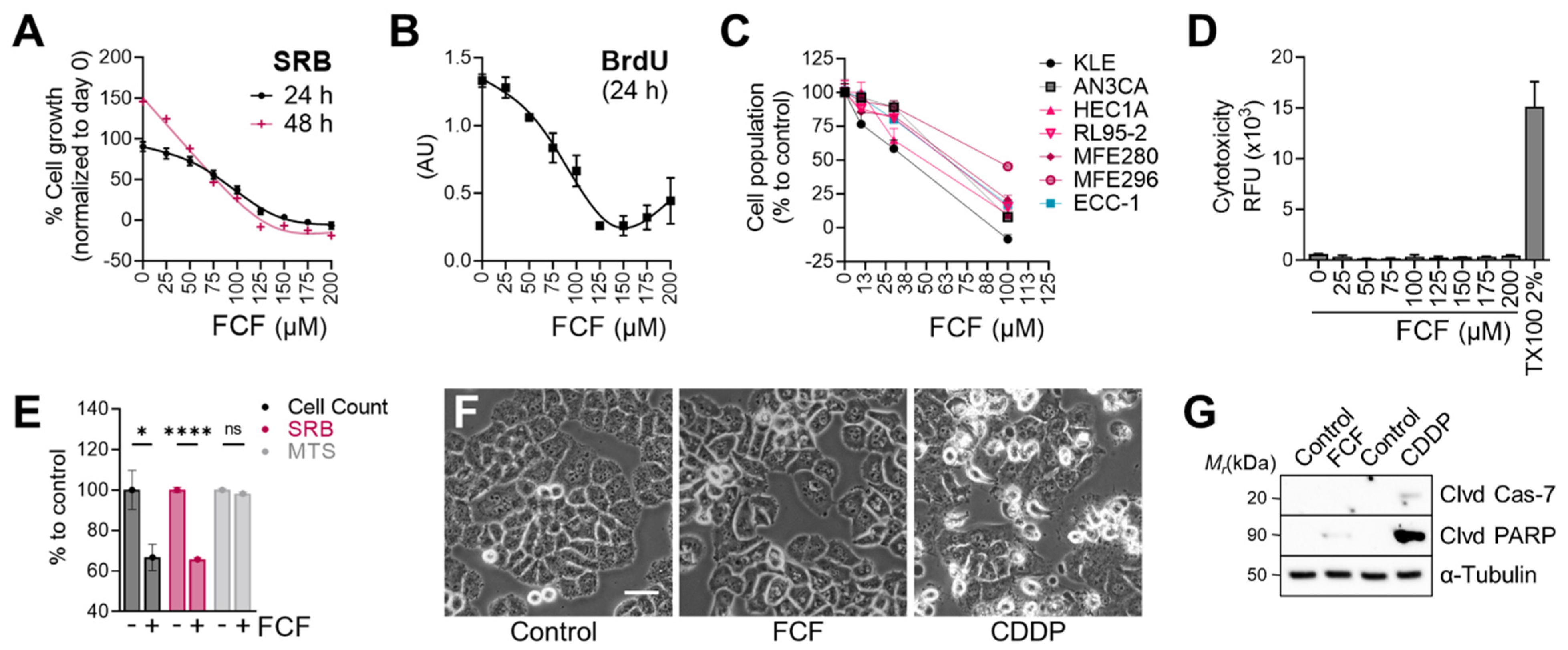Cancers 16 00976 g002 Cancers 16 00976 g002
