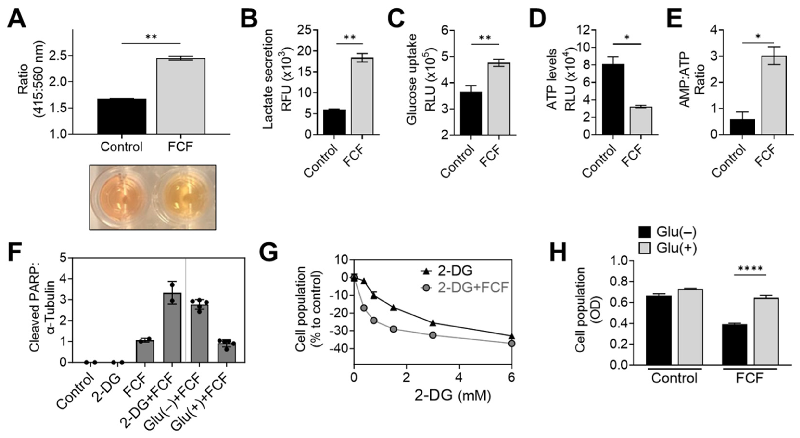 Cancers 16 00976 g004 Cancers 16 00976 g004