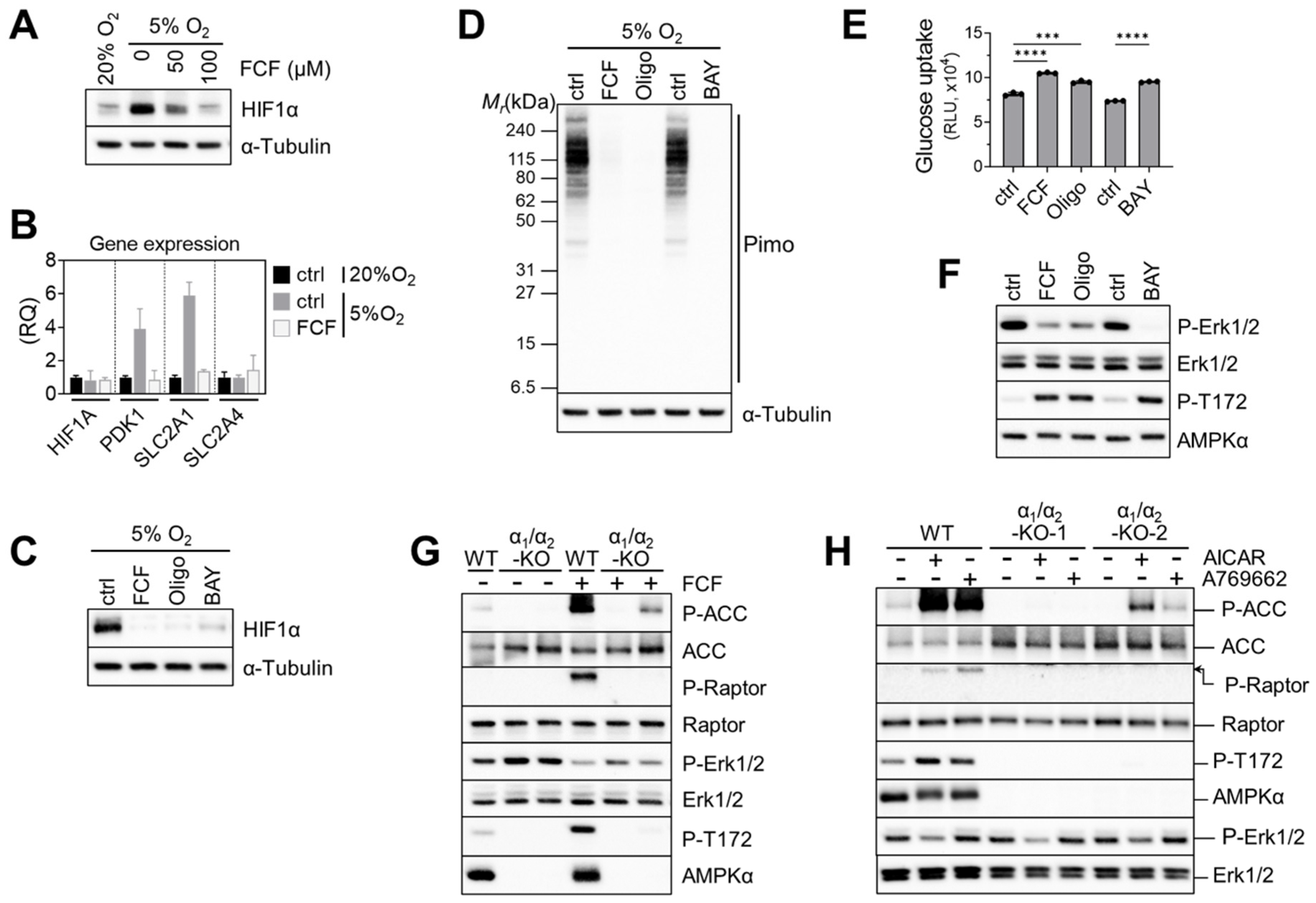 Cancers 16 00976 g006 Cancers 16 00976 g006