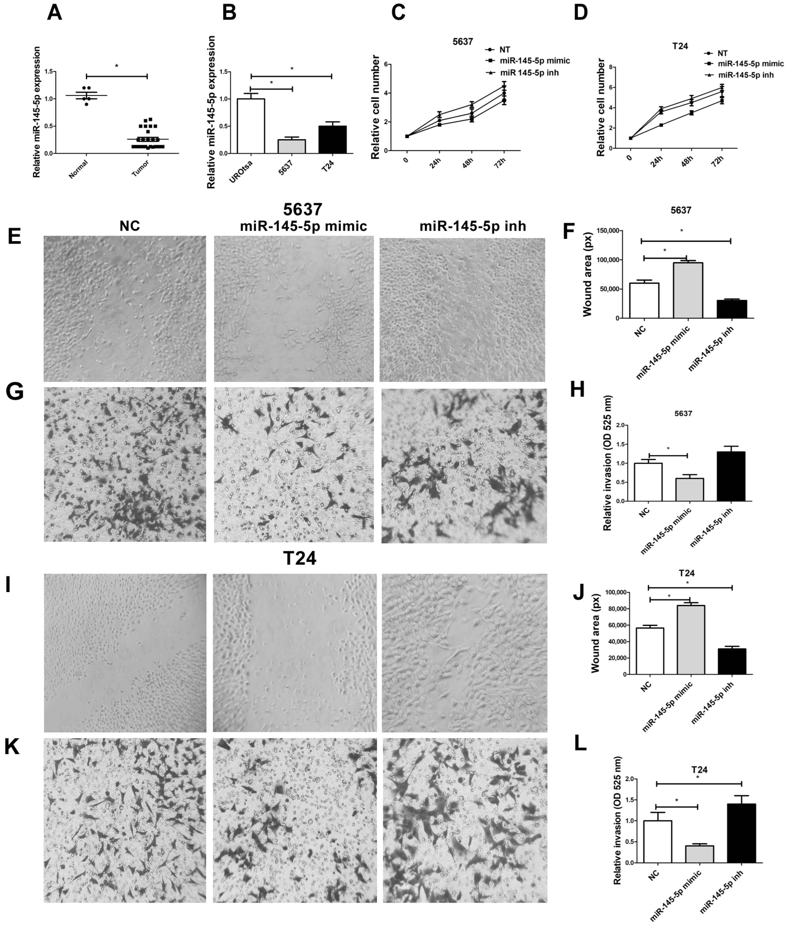 Cancers 16 00978 g005