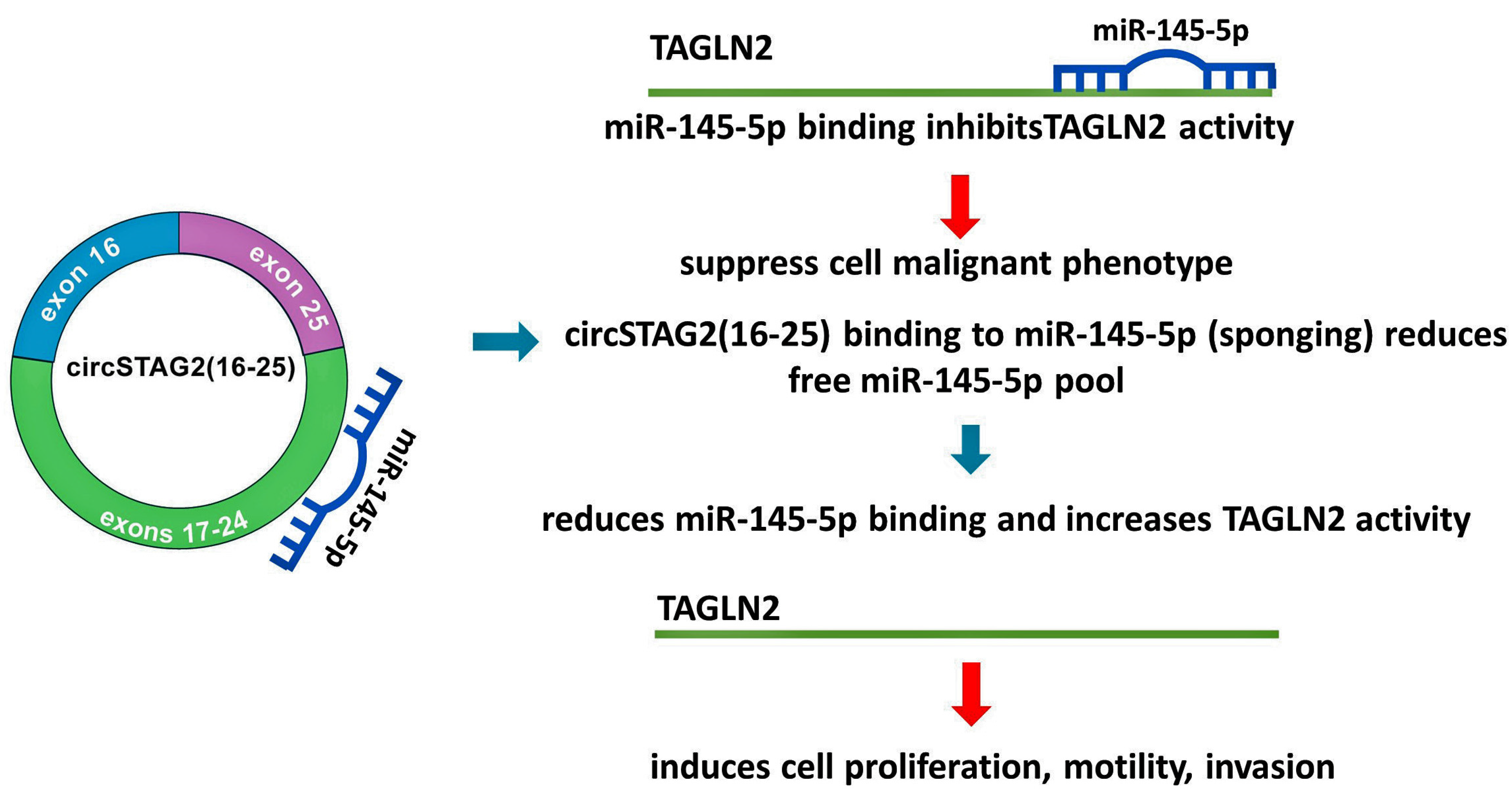 Cancers 16 00978 g007