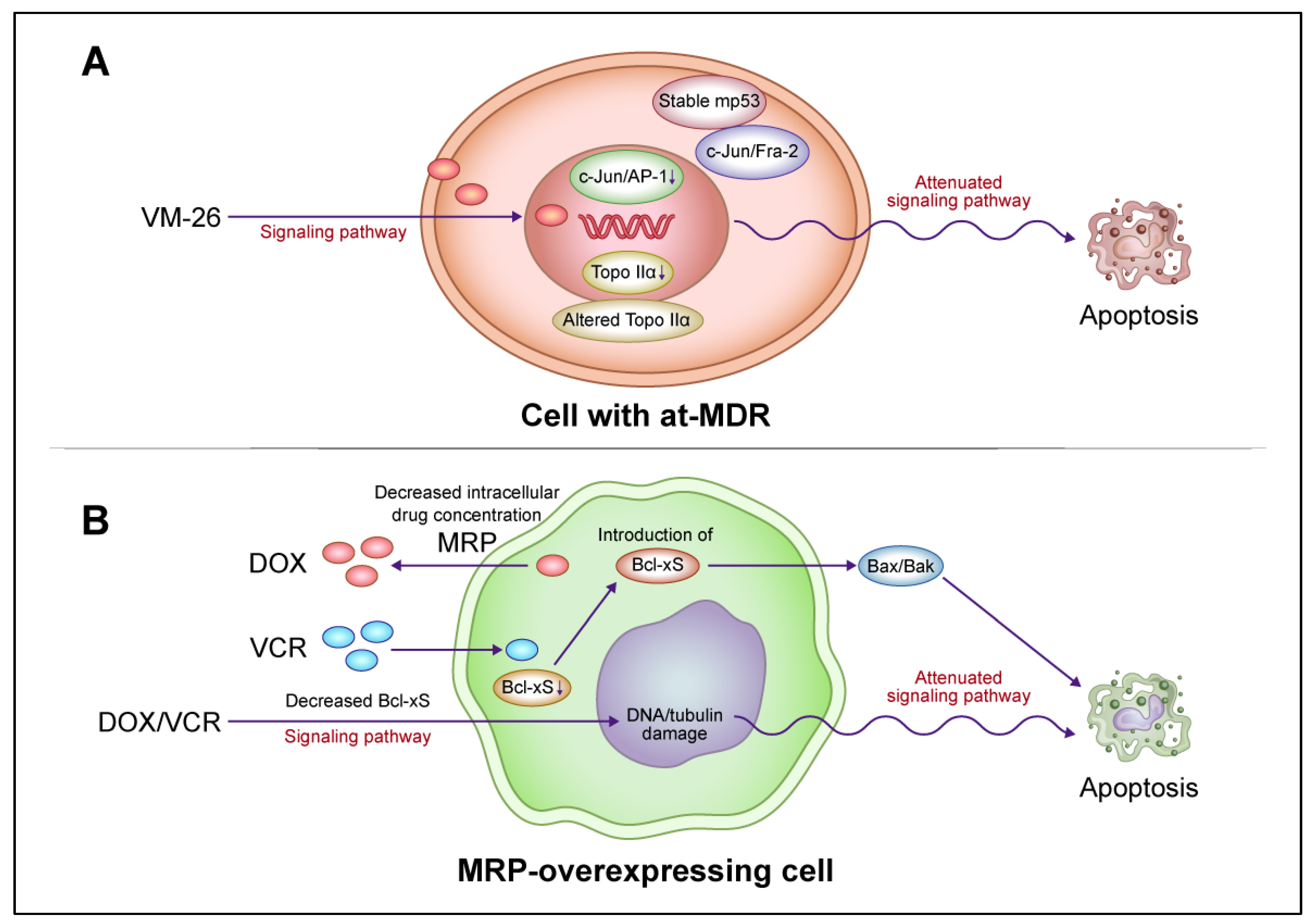 Cancers 16 00984 g004