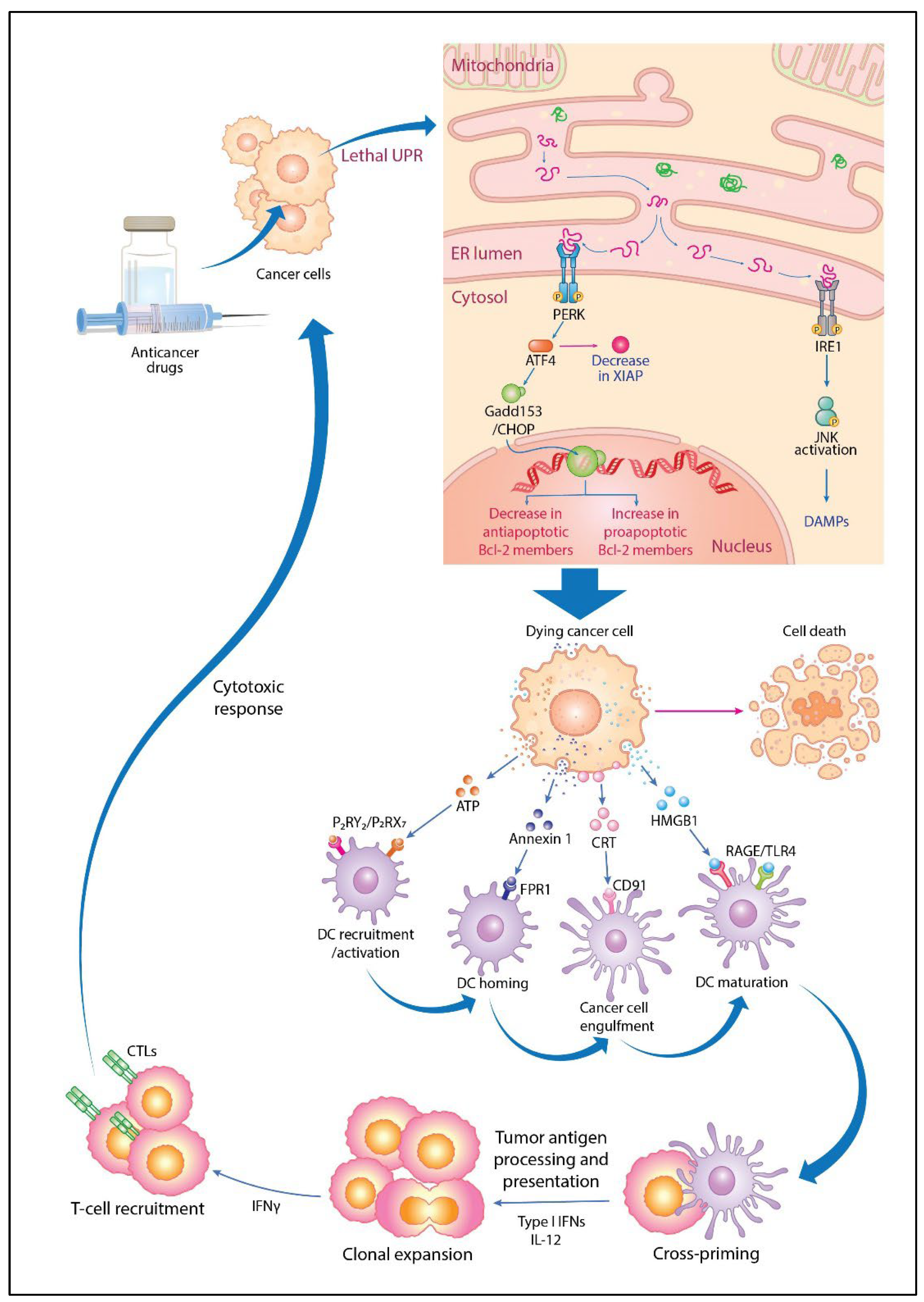 Cancers 16 00984 g005