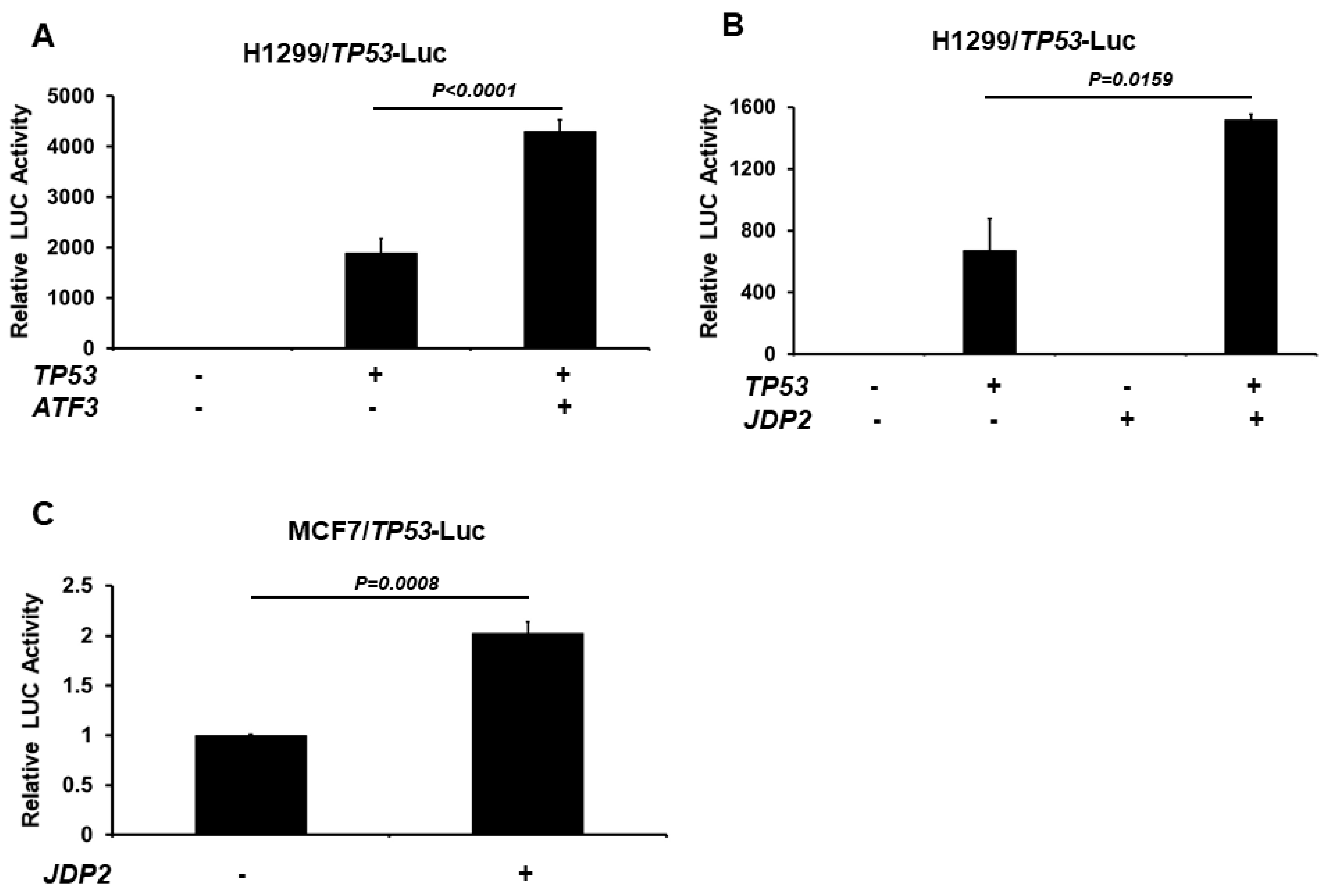 激安直営店 Jun p53 Increases (JDP2) 2 Protein Dimerization ドラゴンボールカード