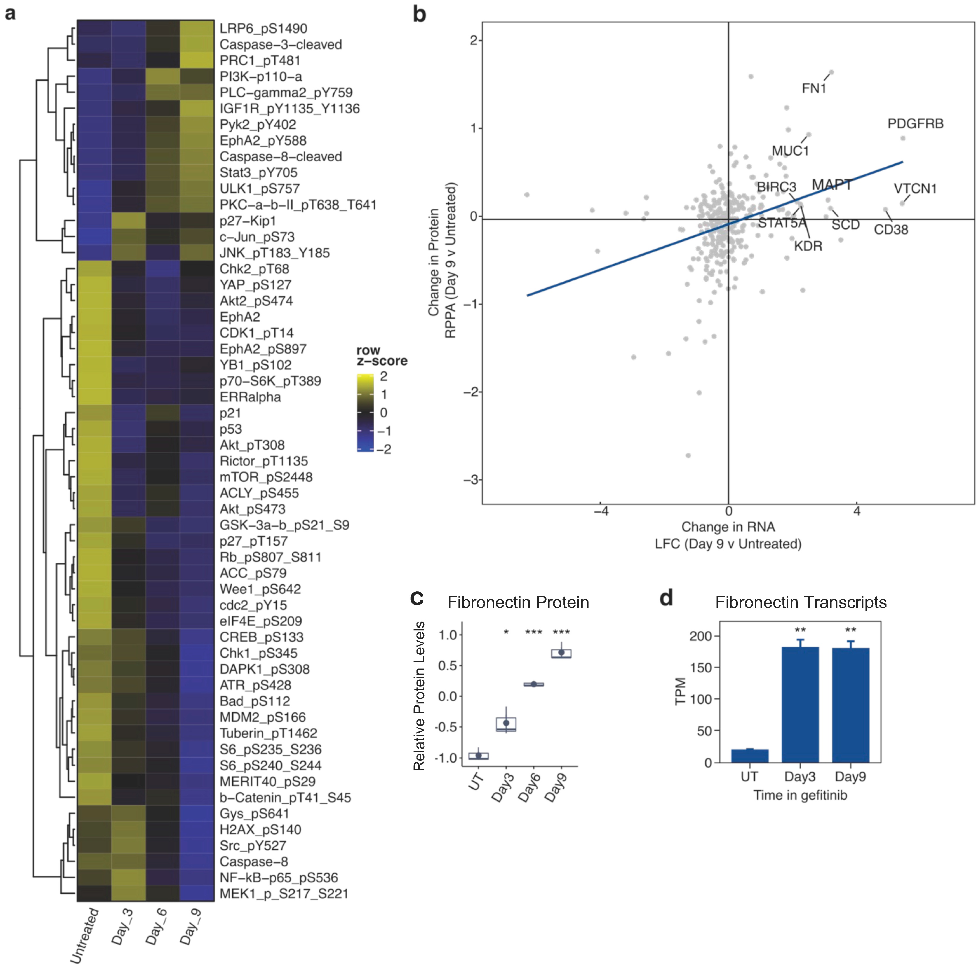Cancers 16 01001 g002