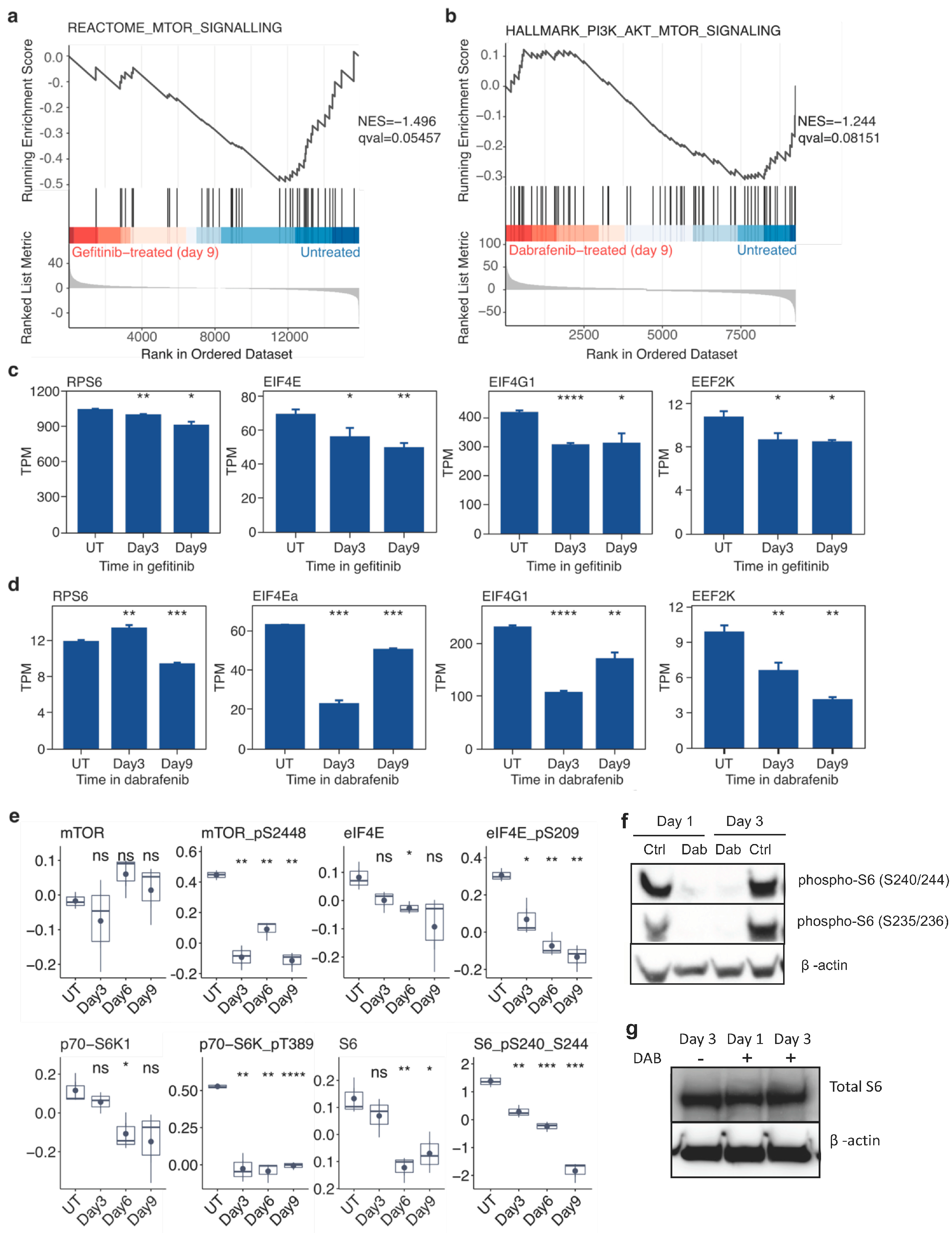 Cancers 16 01001 g003