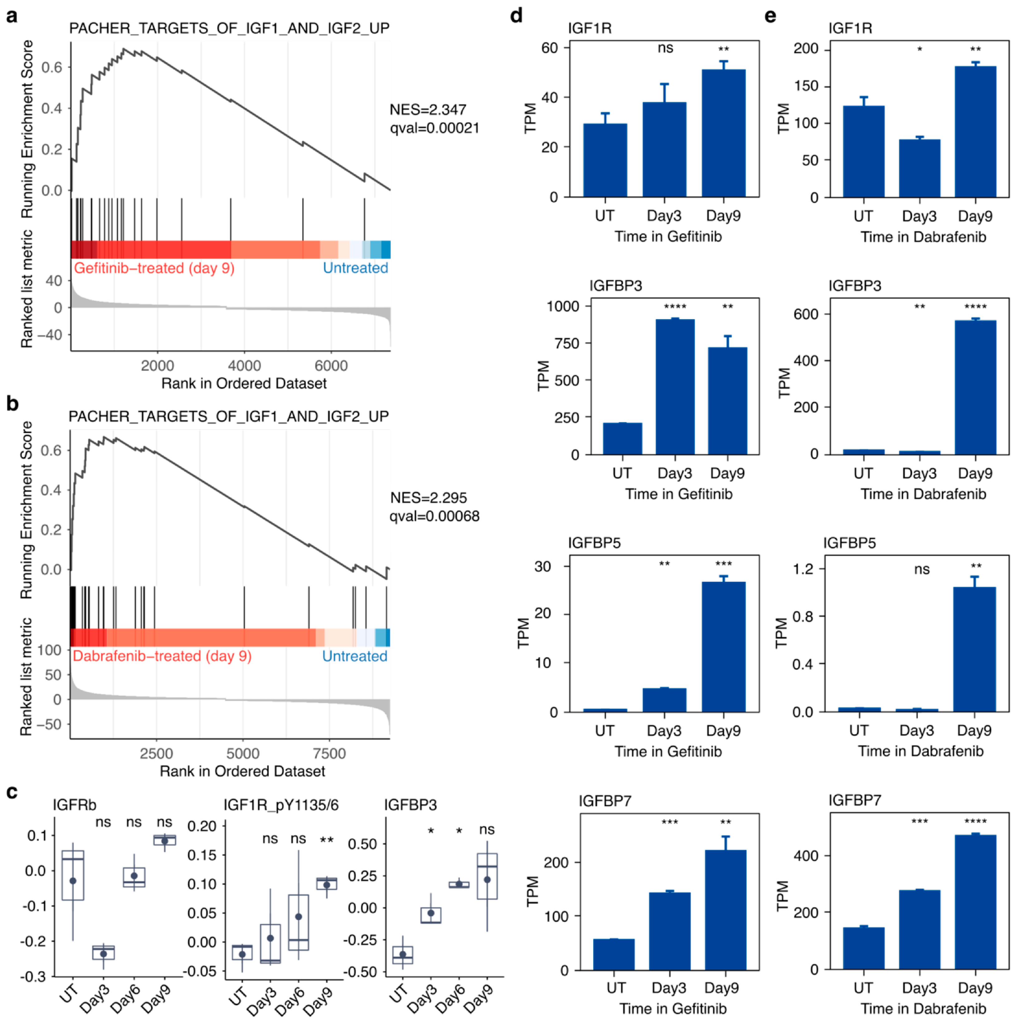 Cancers 16 01001 g004