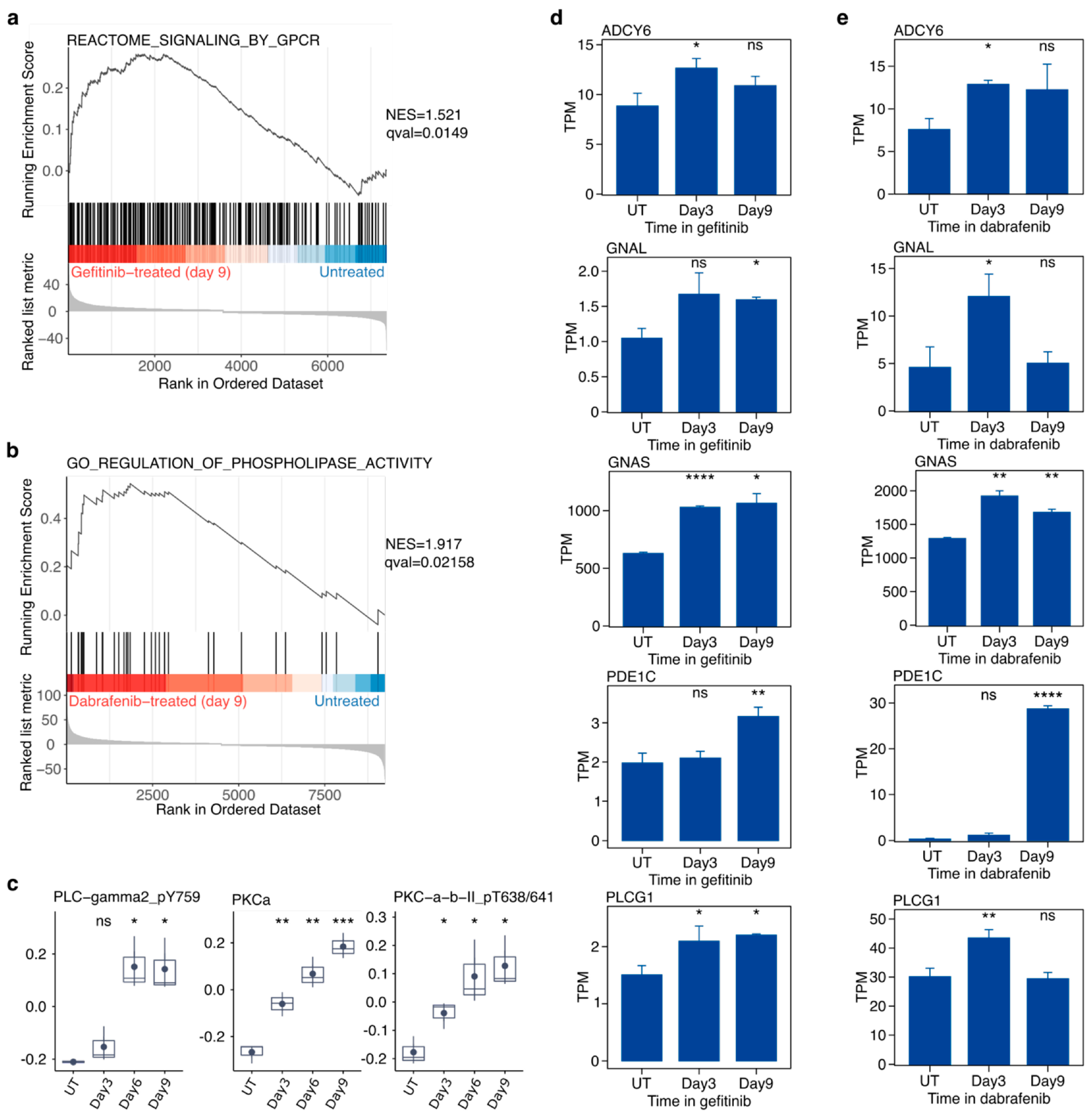 Cancers 16 01001 g005