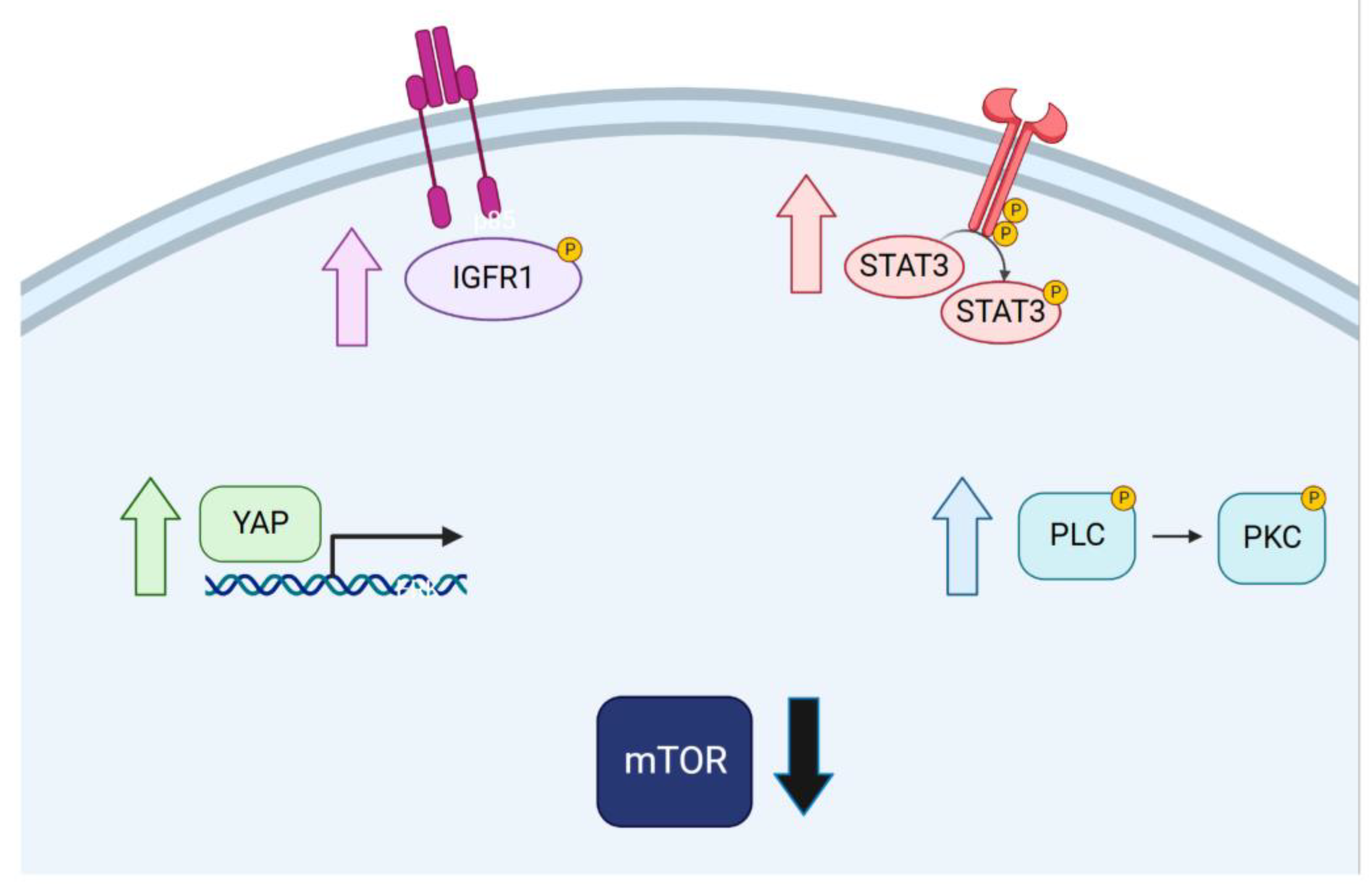 Cancers 16 01001 g008