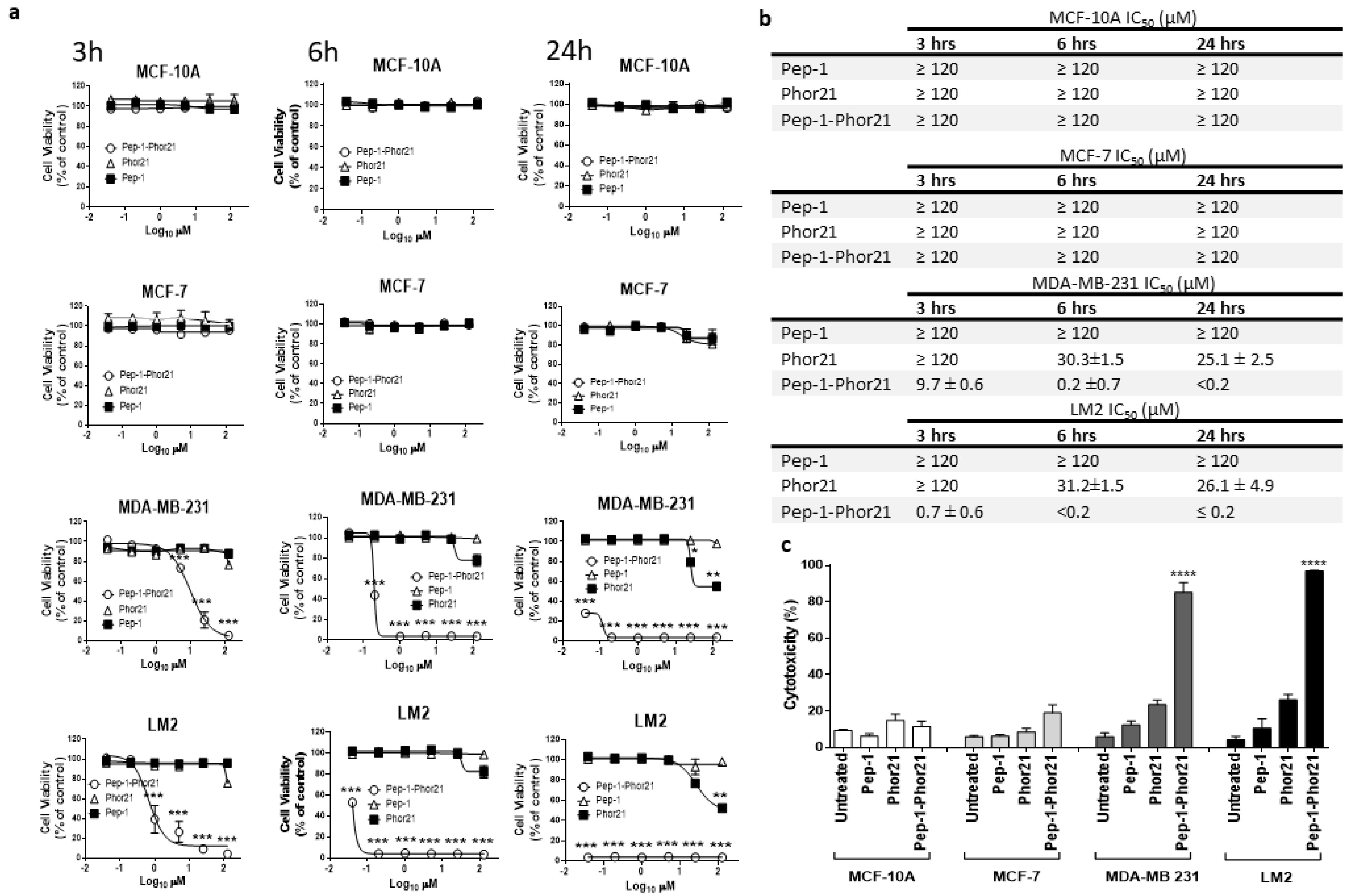 Cancers 16 01006 g004