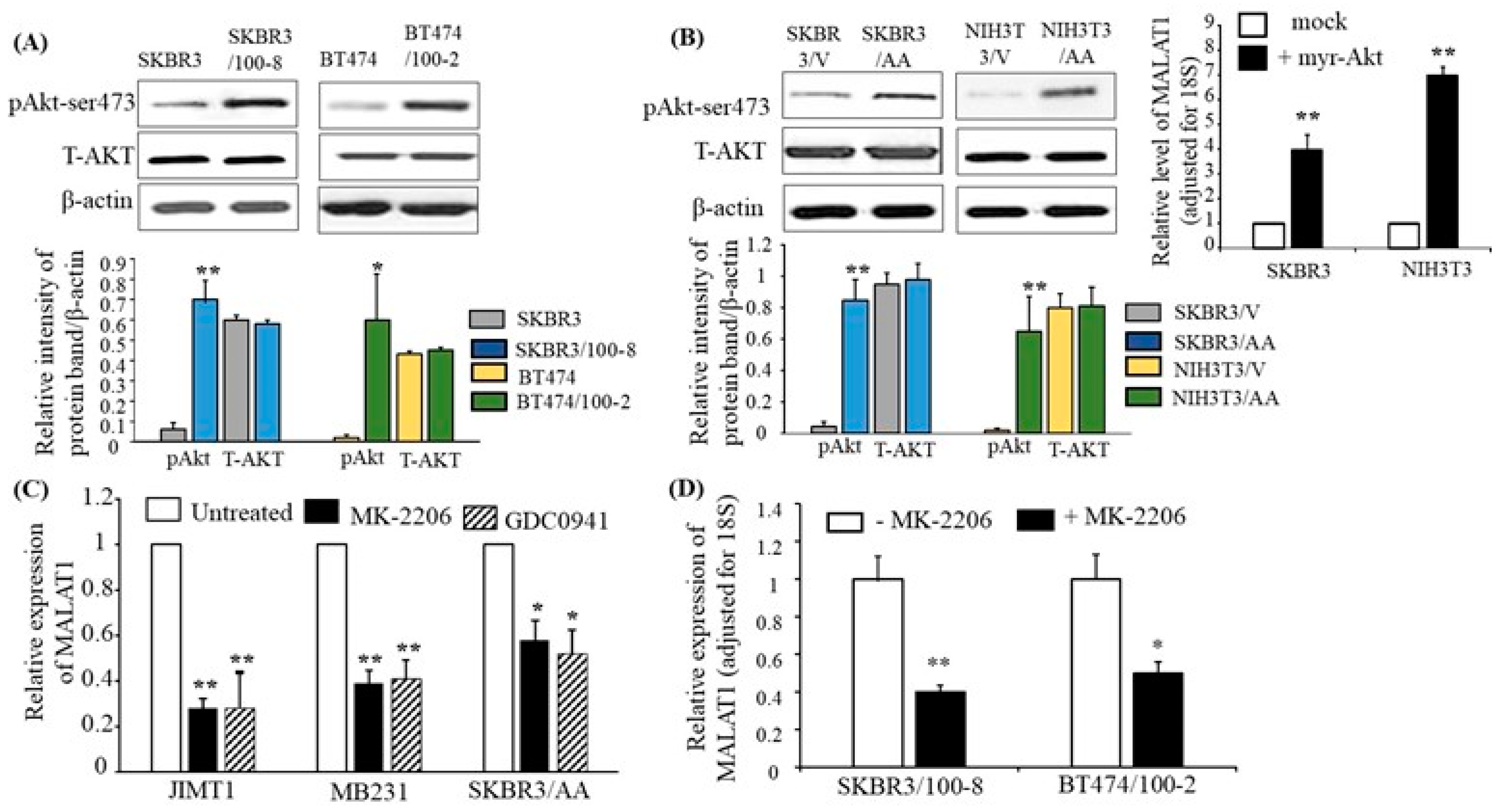 Cancers 16 01026 g004