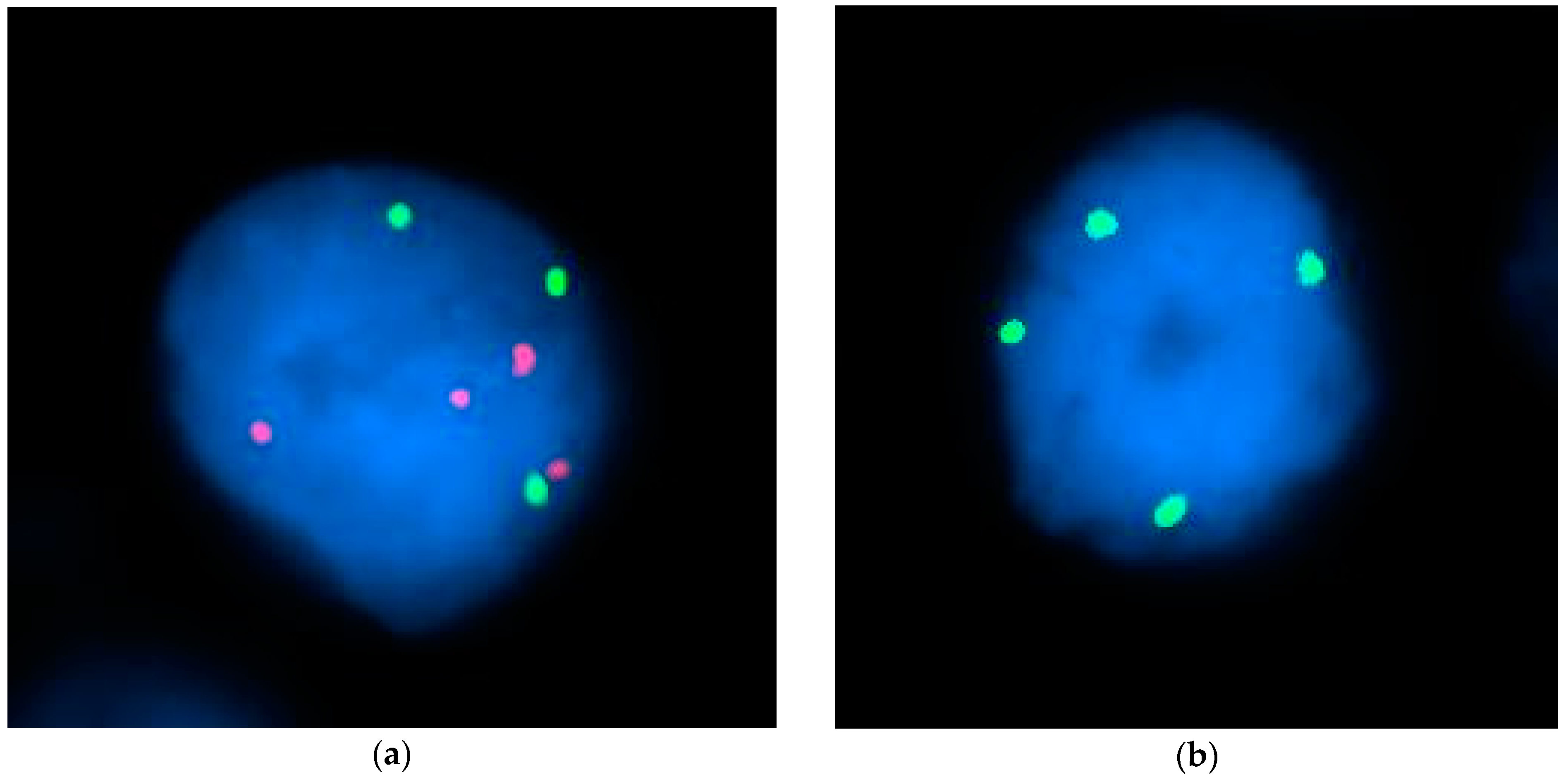 Cancers 16 01027 g001