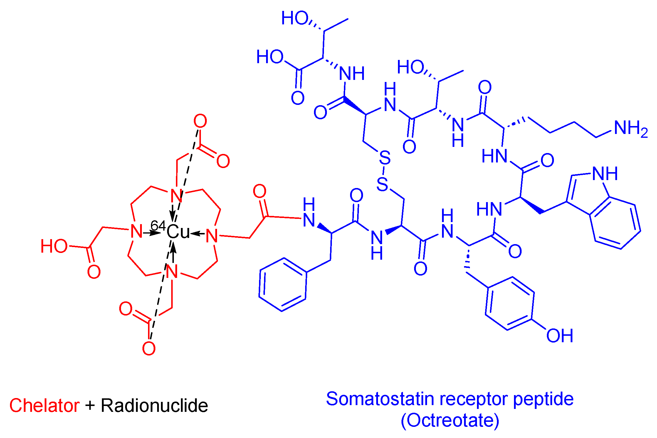 Cancers 16 01032 g012