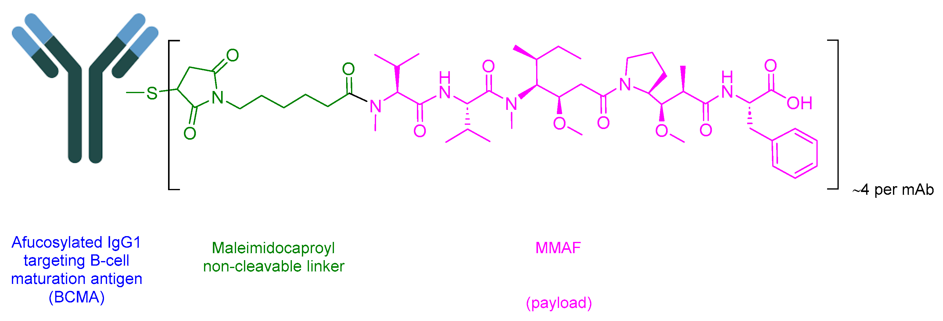 Cancers 16 01032 g020