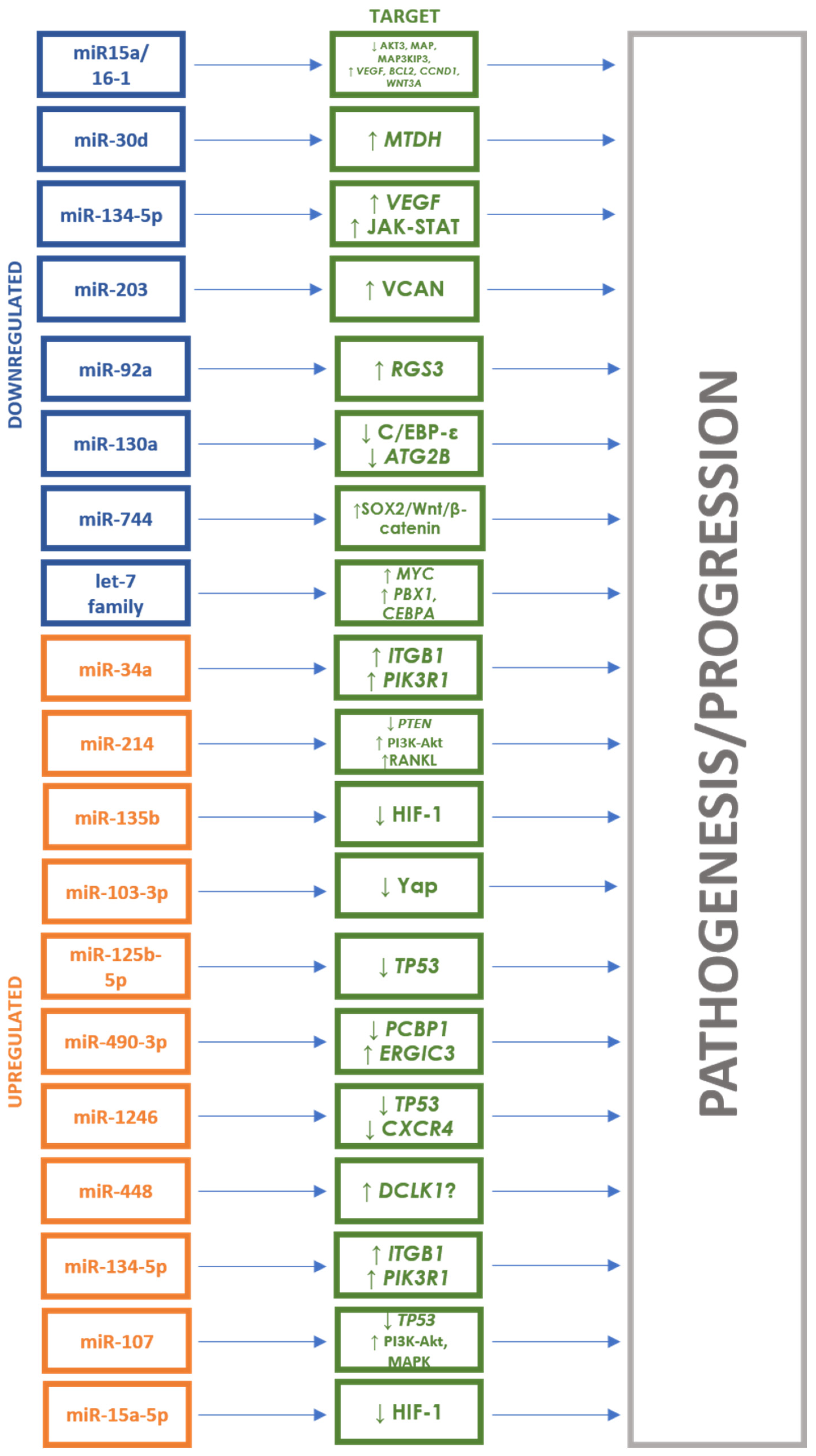 Cancers 16 01033 g001