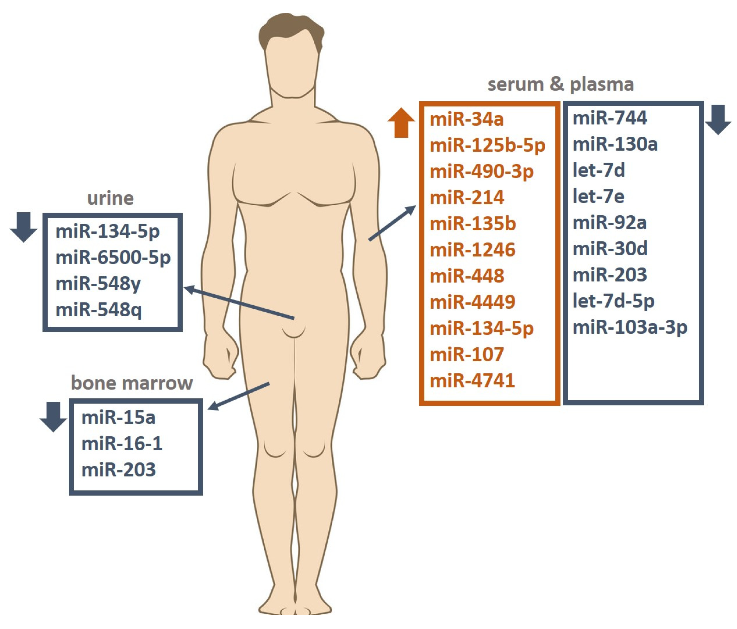 Cancers 16 01033 g002