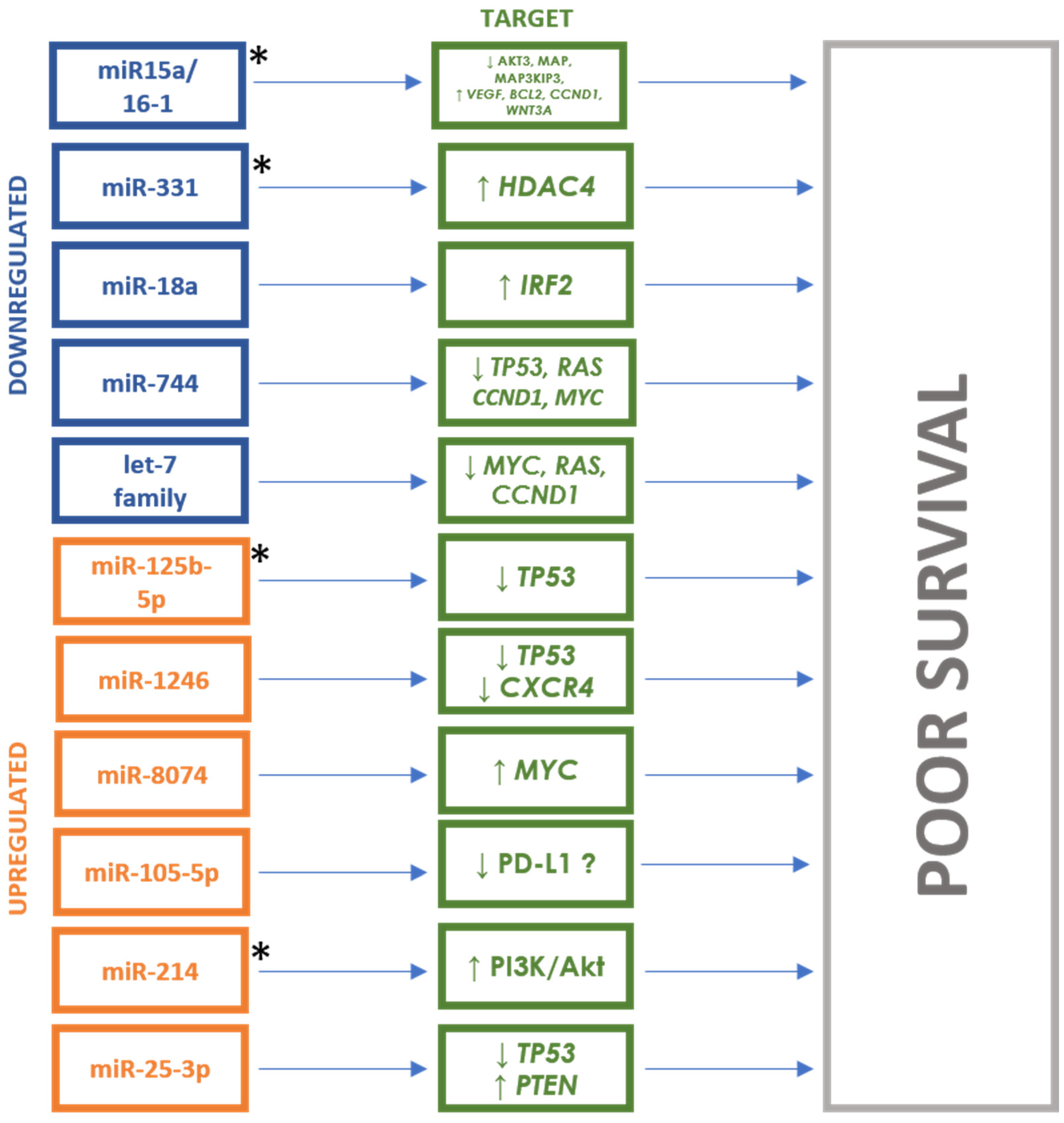 Cancers 16 01033 g004