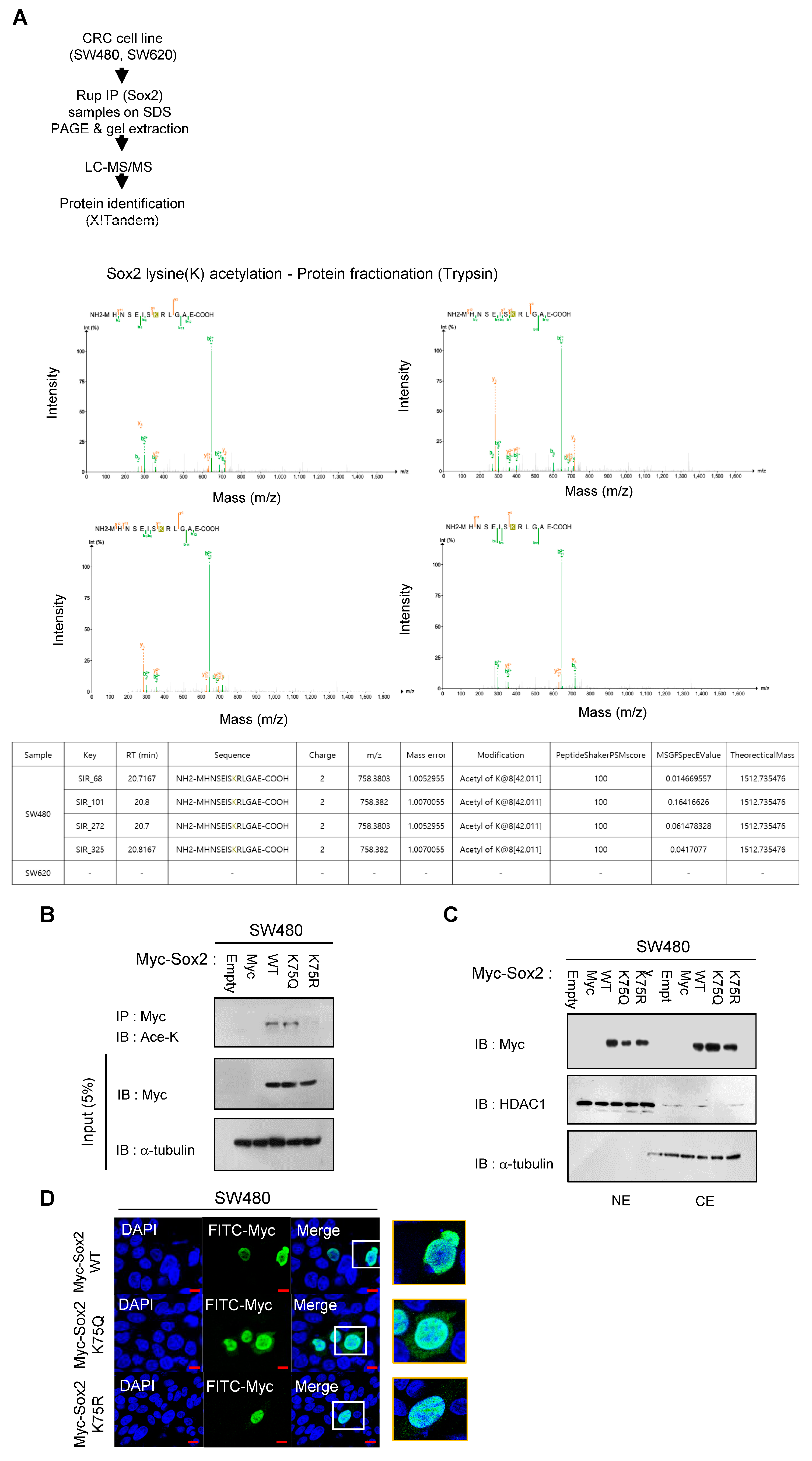 Cancers 16 01035 g002