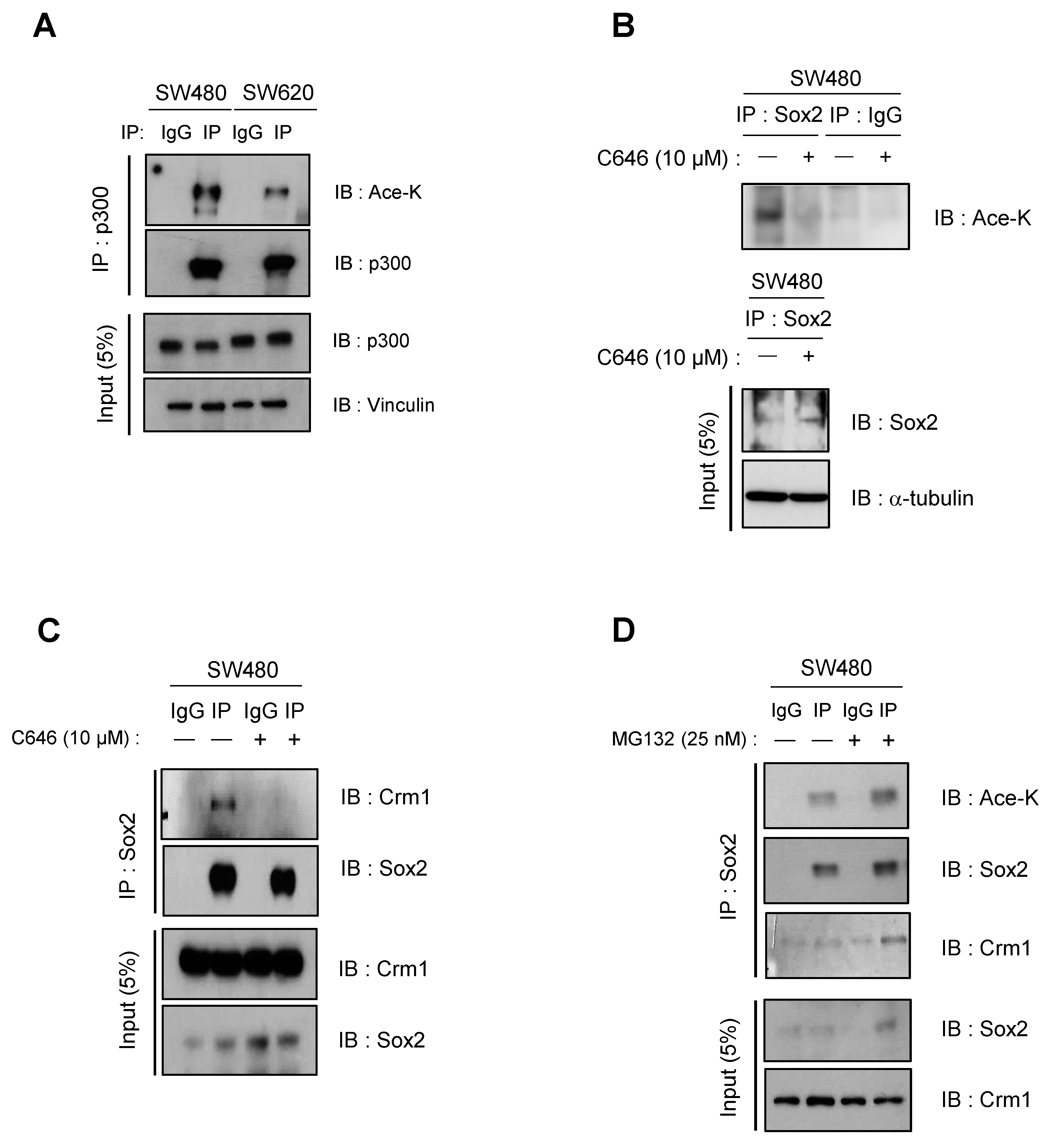 Cancers 16 01035 g003
