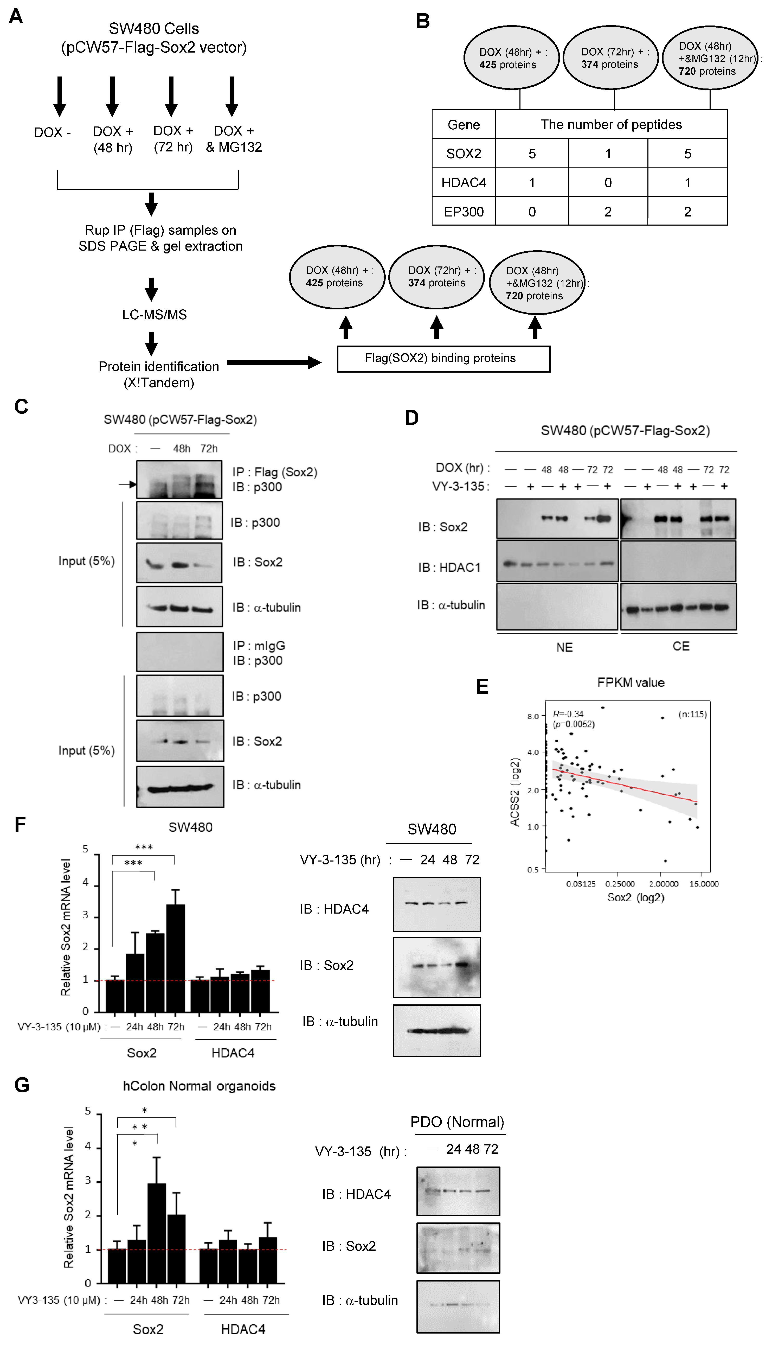 Cancers 16 01035 g004