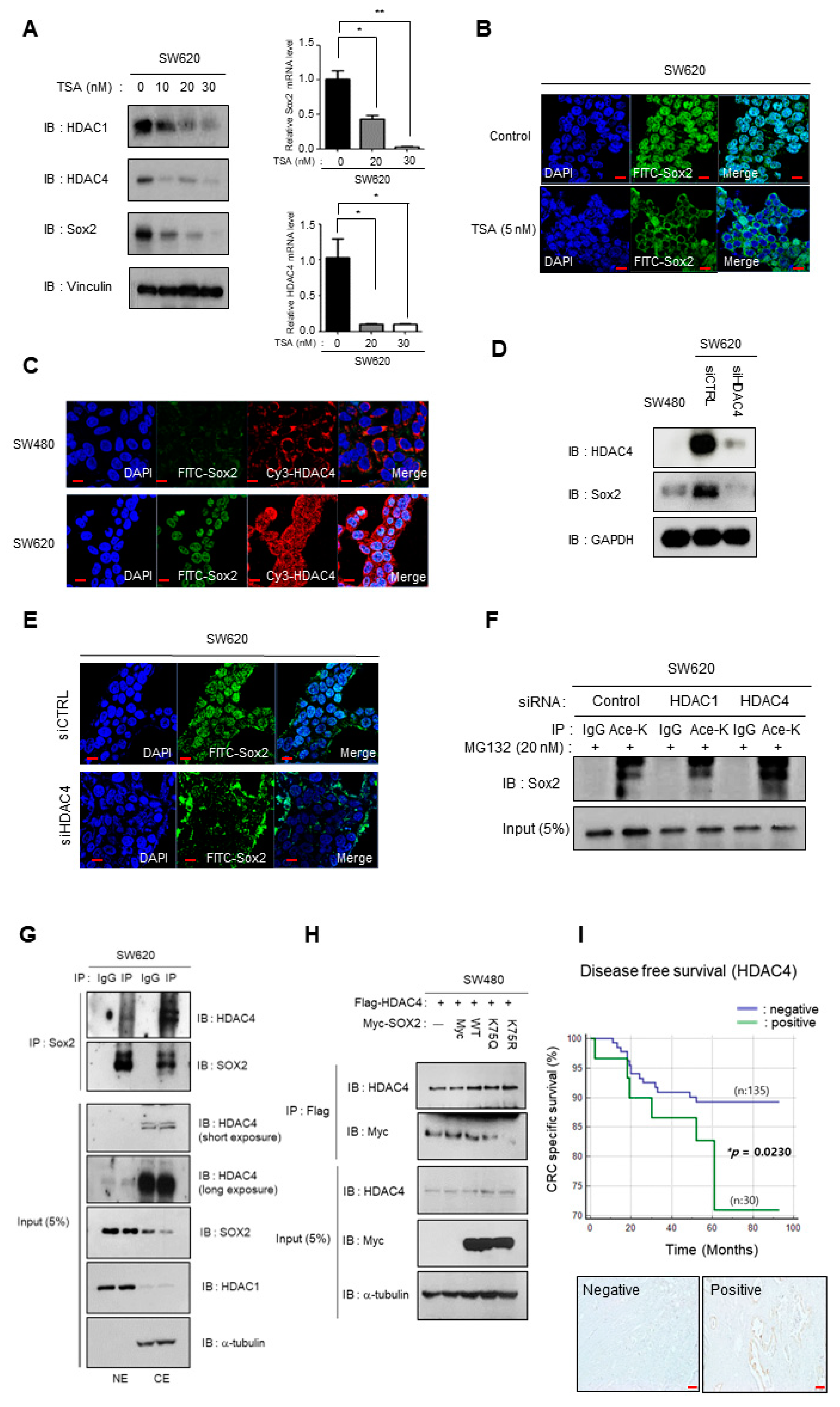 Cancers 16 01035 g005