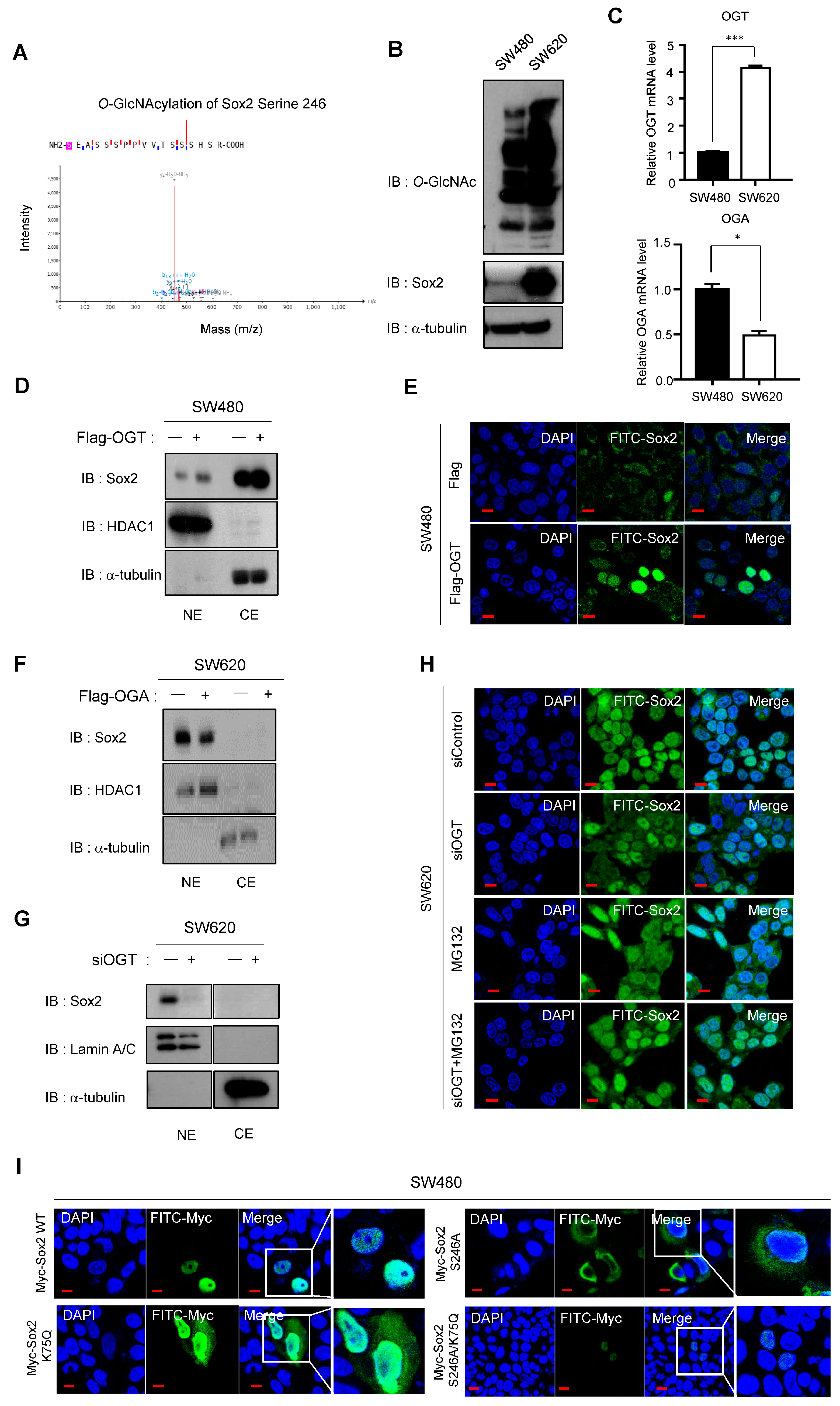 Cancers 16 01035 g007