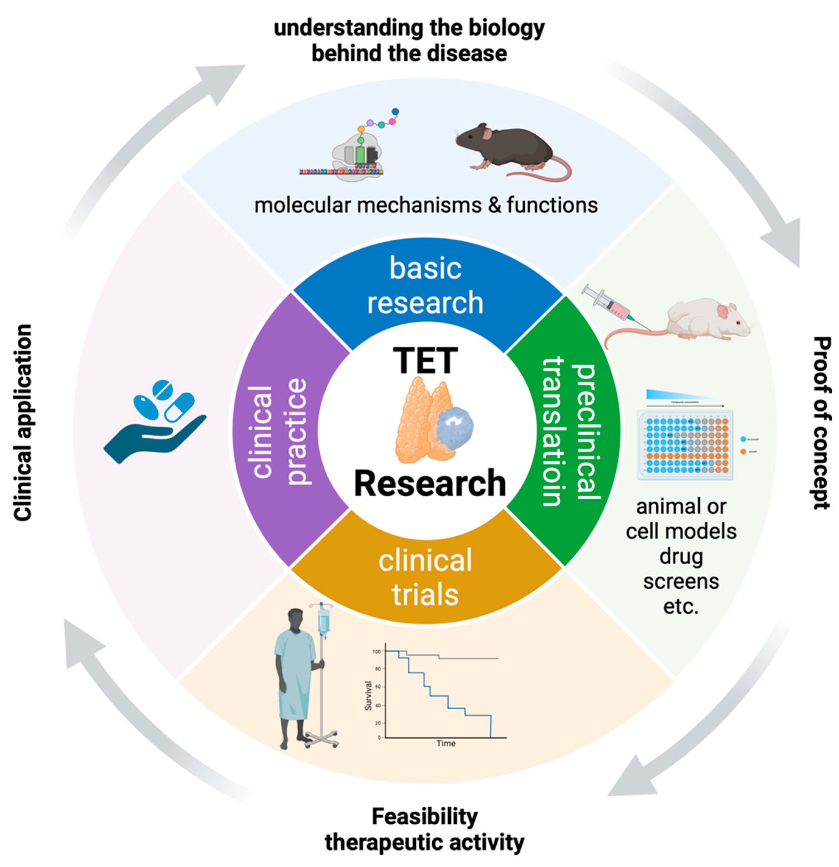 Cancers 16 01040 g001