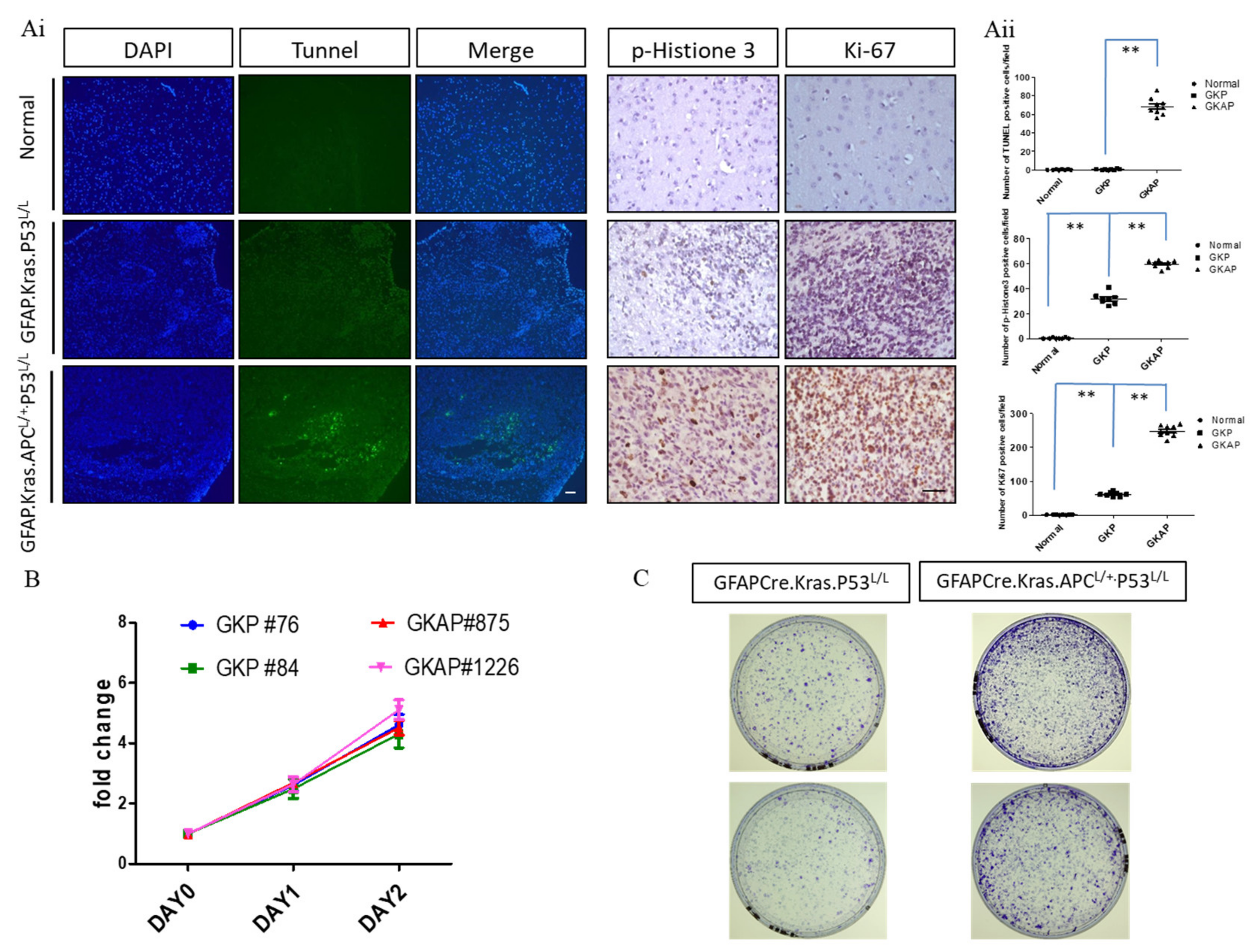 Cancers 16 01046 g003 Cancers 16 01046 g003