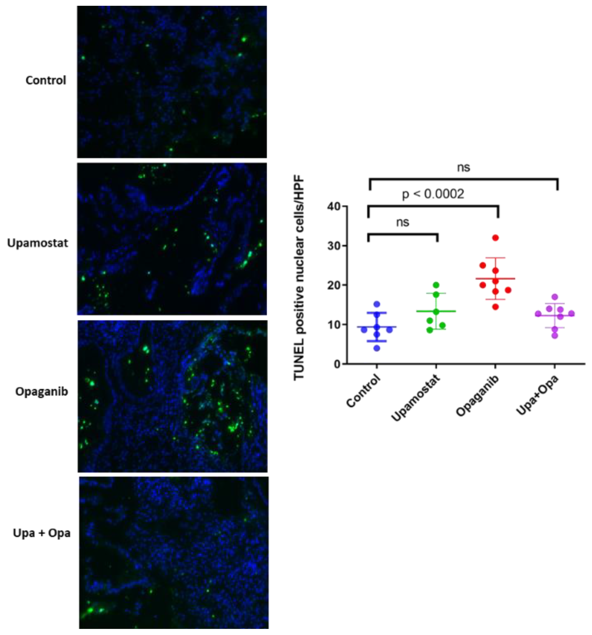 Cancers 16 01050 g005