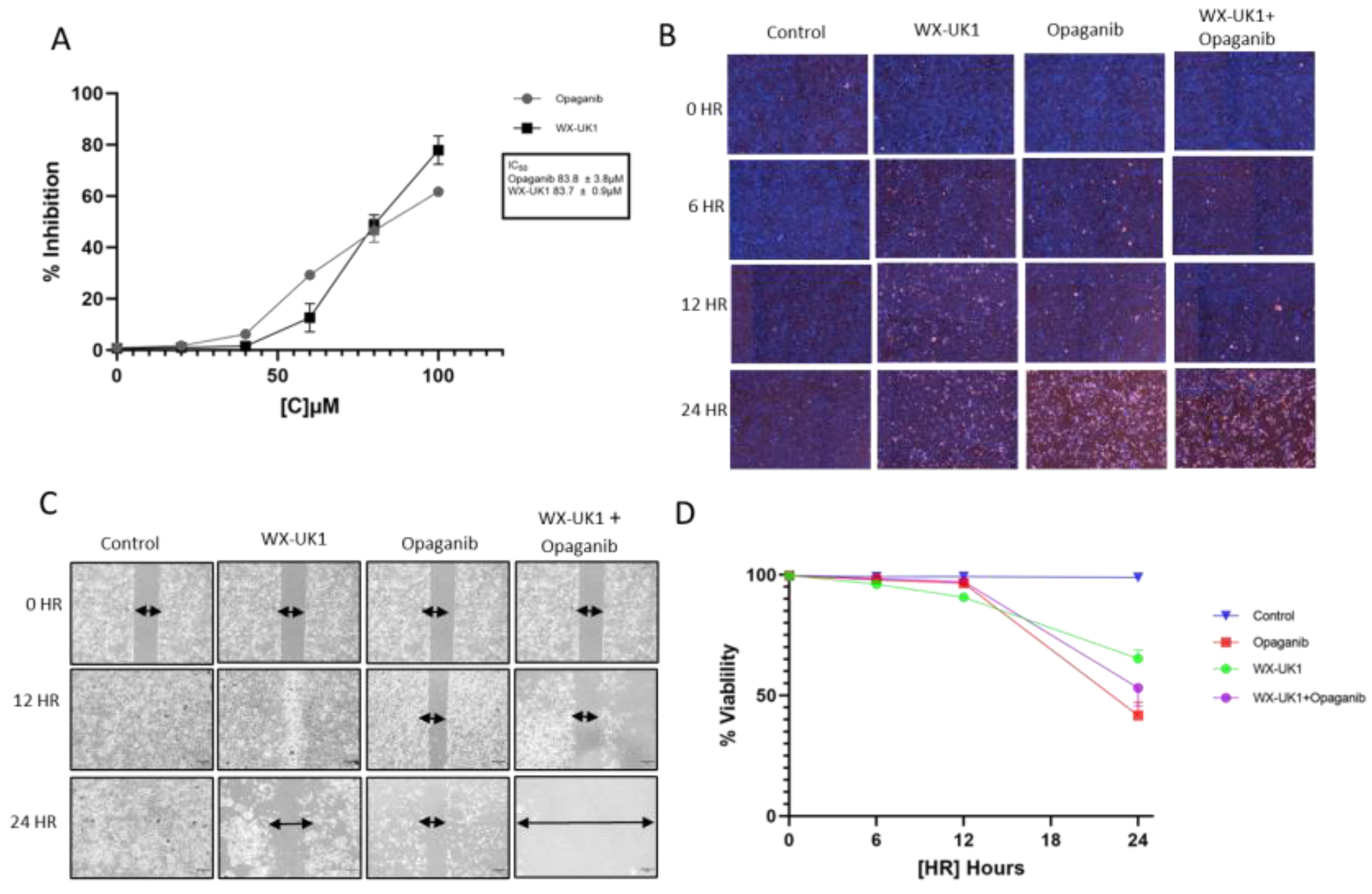 Cancers 16 01050 g006