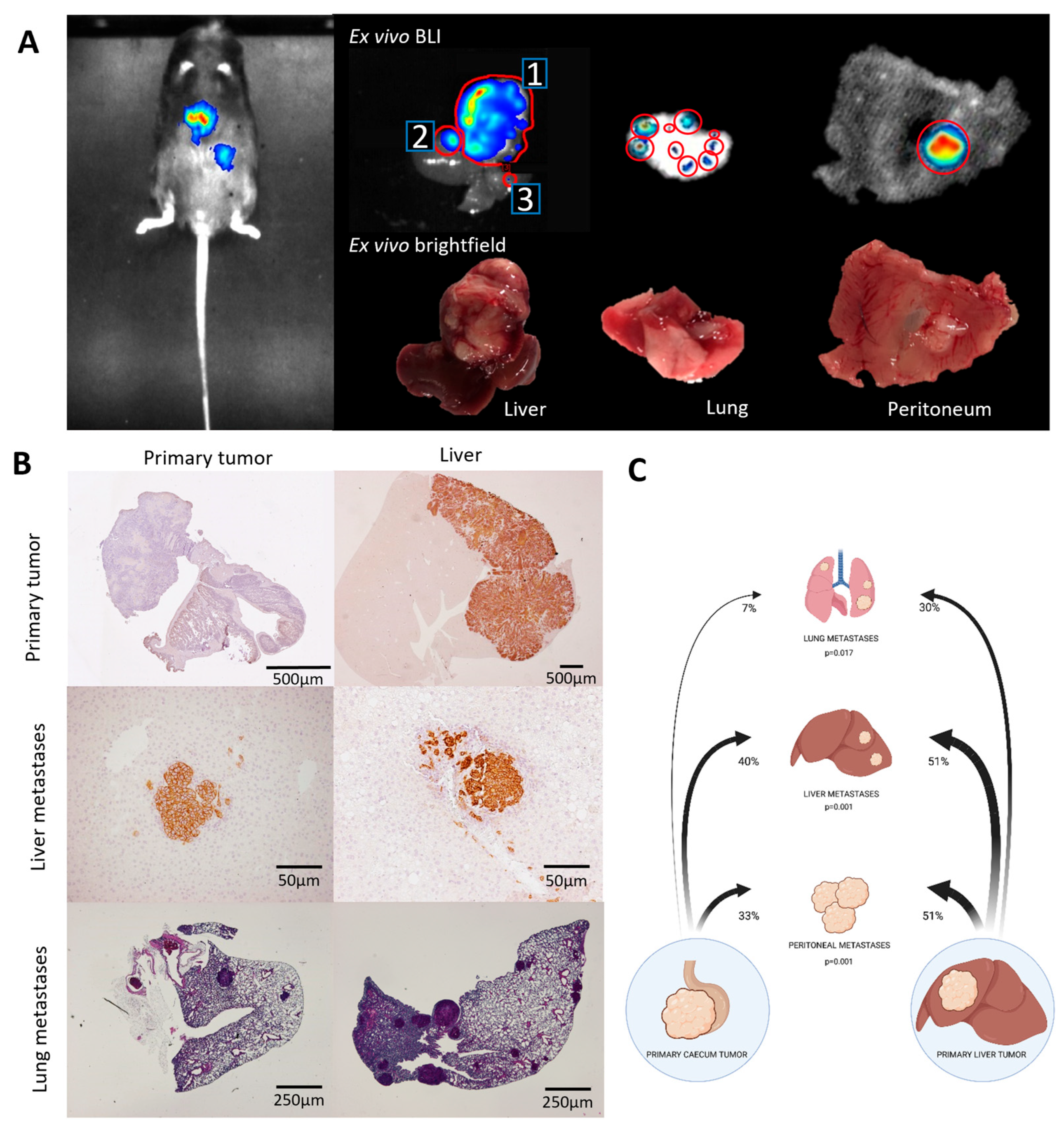 Cancers 16 01073 g003 Cancers 16 01073 g003