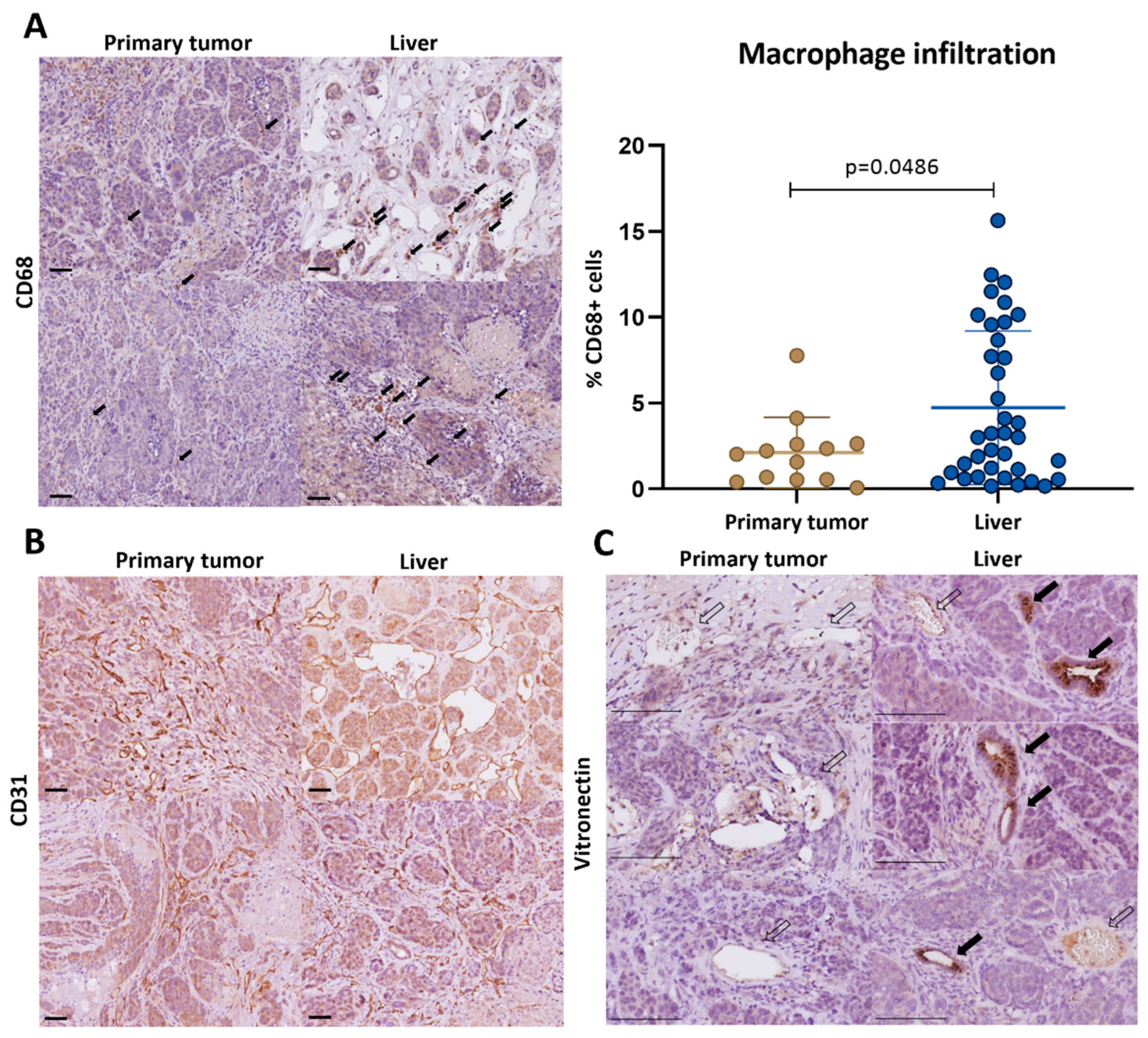 Cancers 16 01073 g005 Cancers 16 01073 g005