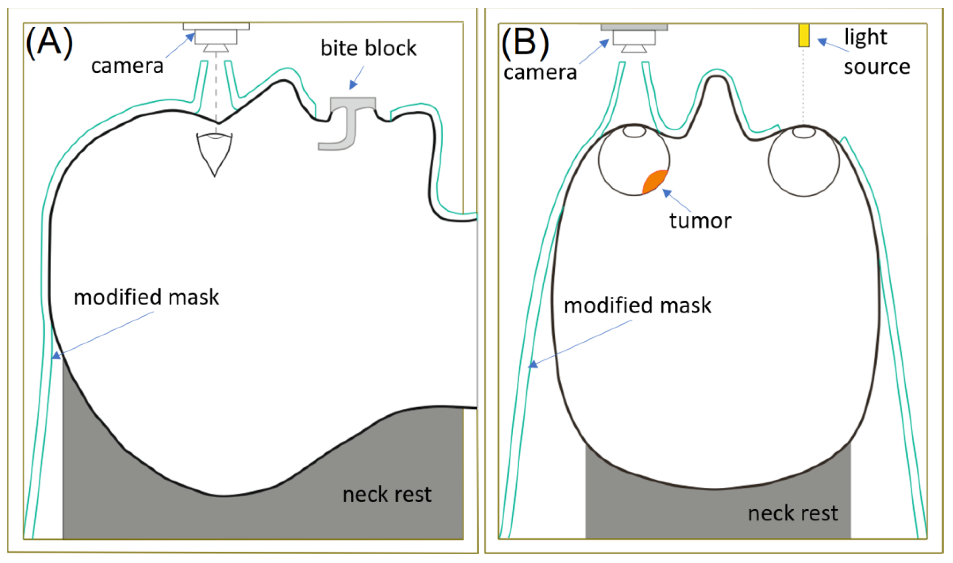Cancers 16 01074 g002