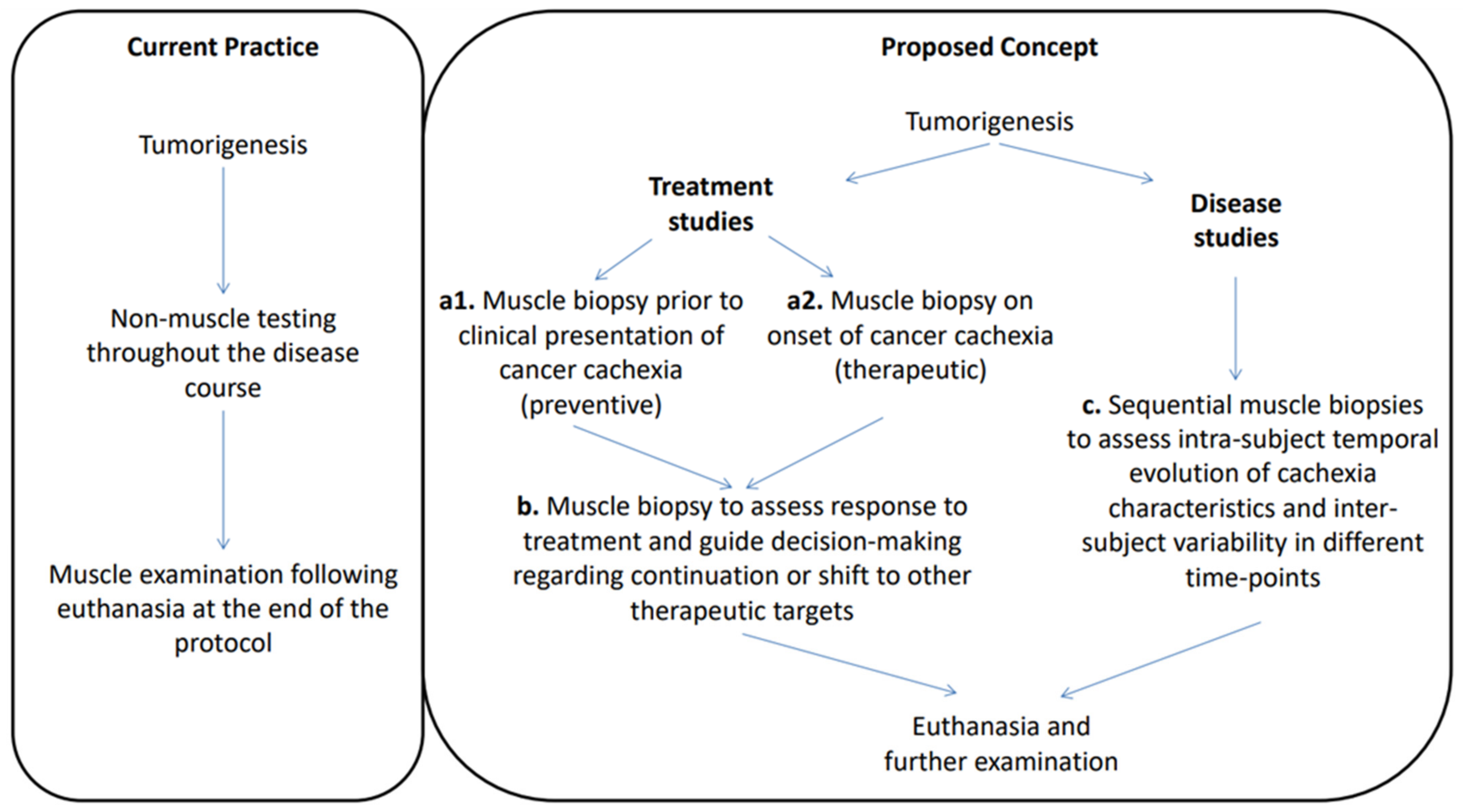 Cancers 16 01075 g003