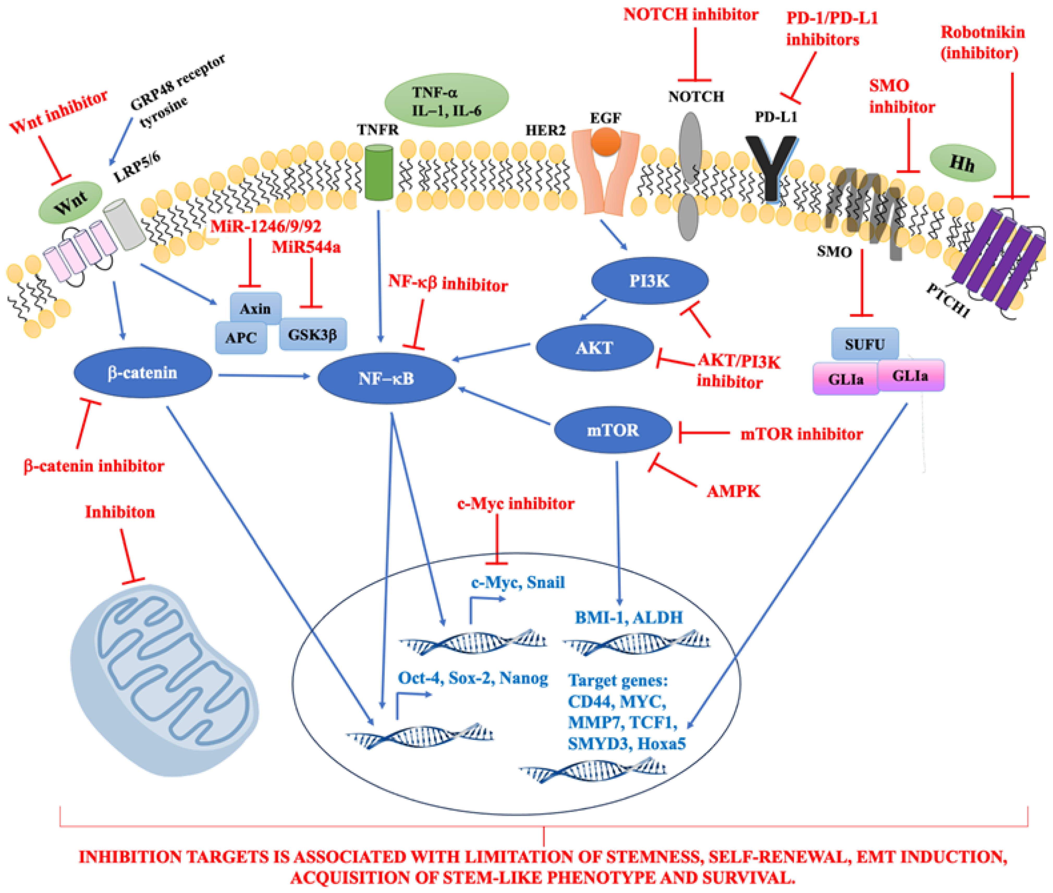 Cancers 16 01083 g001