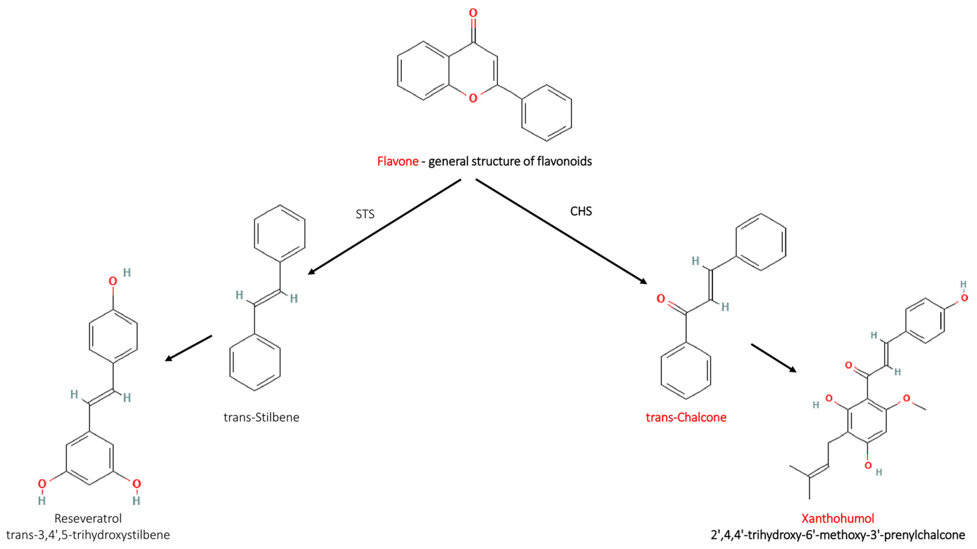 Cancers 16 01092 g001 Cancers 16 01092 g001
