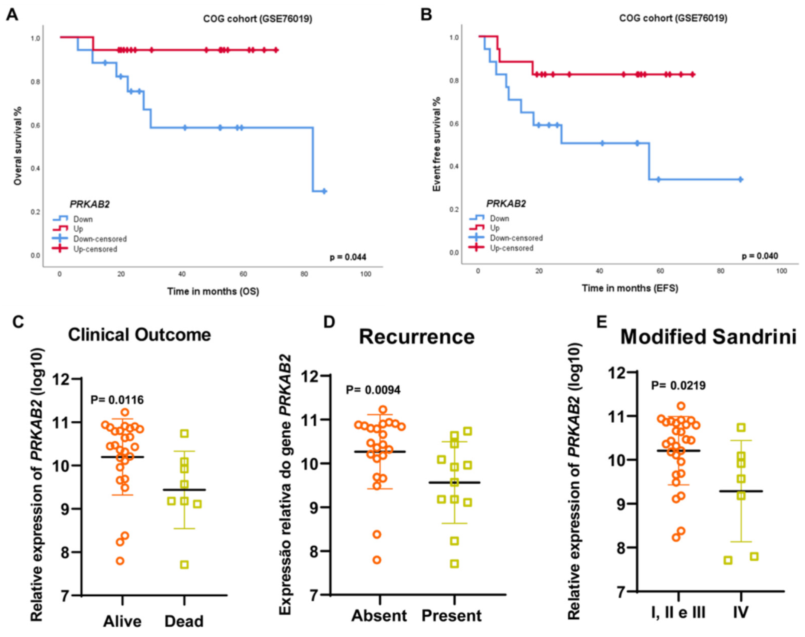 Cancers 16 01094 g002 Cancers 16 01094 g002