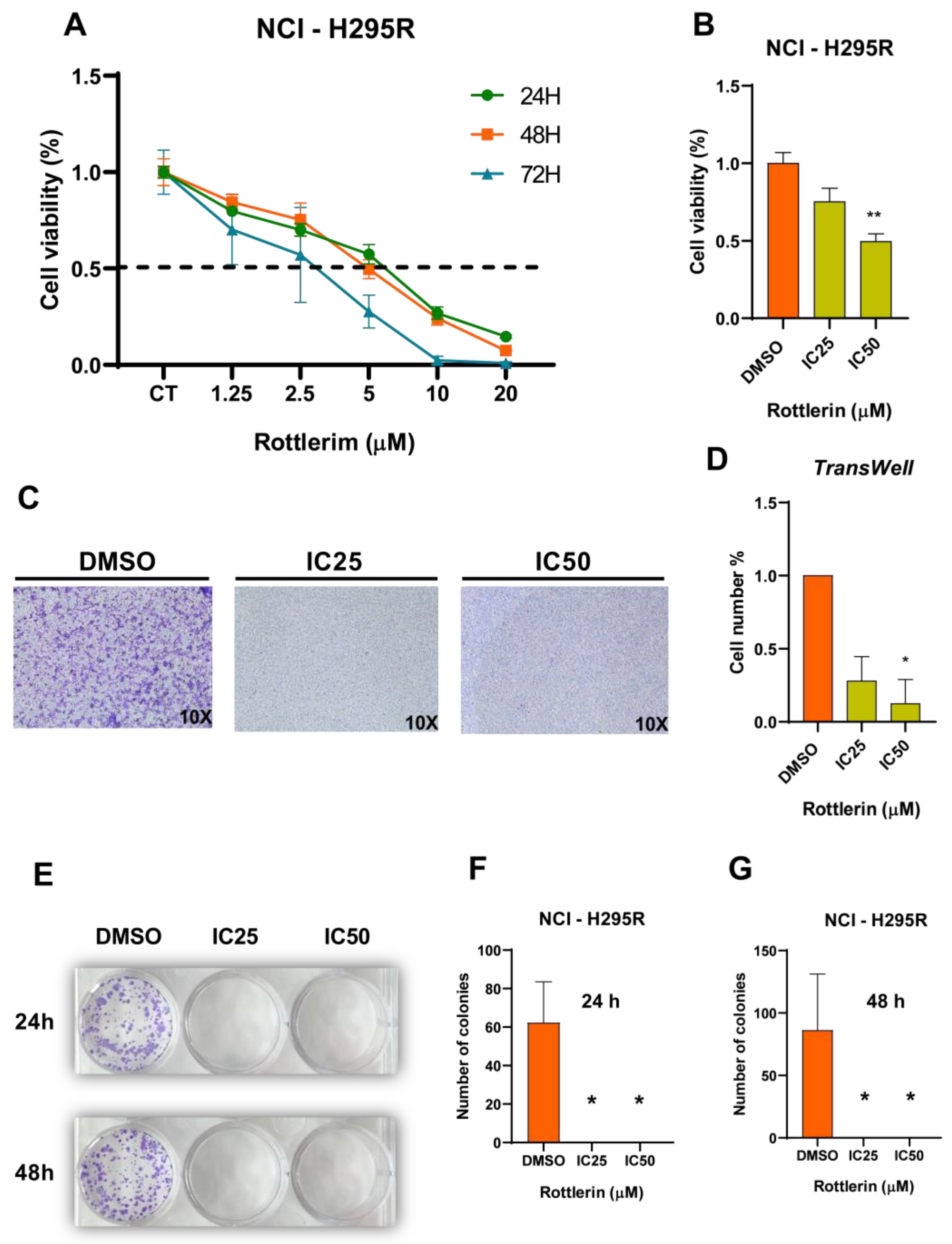 Cancers 16 01094 g004 Cancers 16 01094 g004