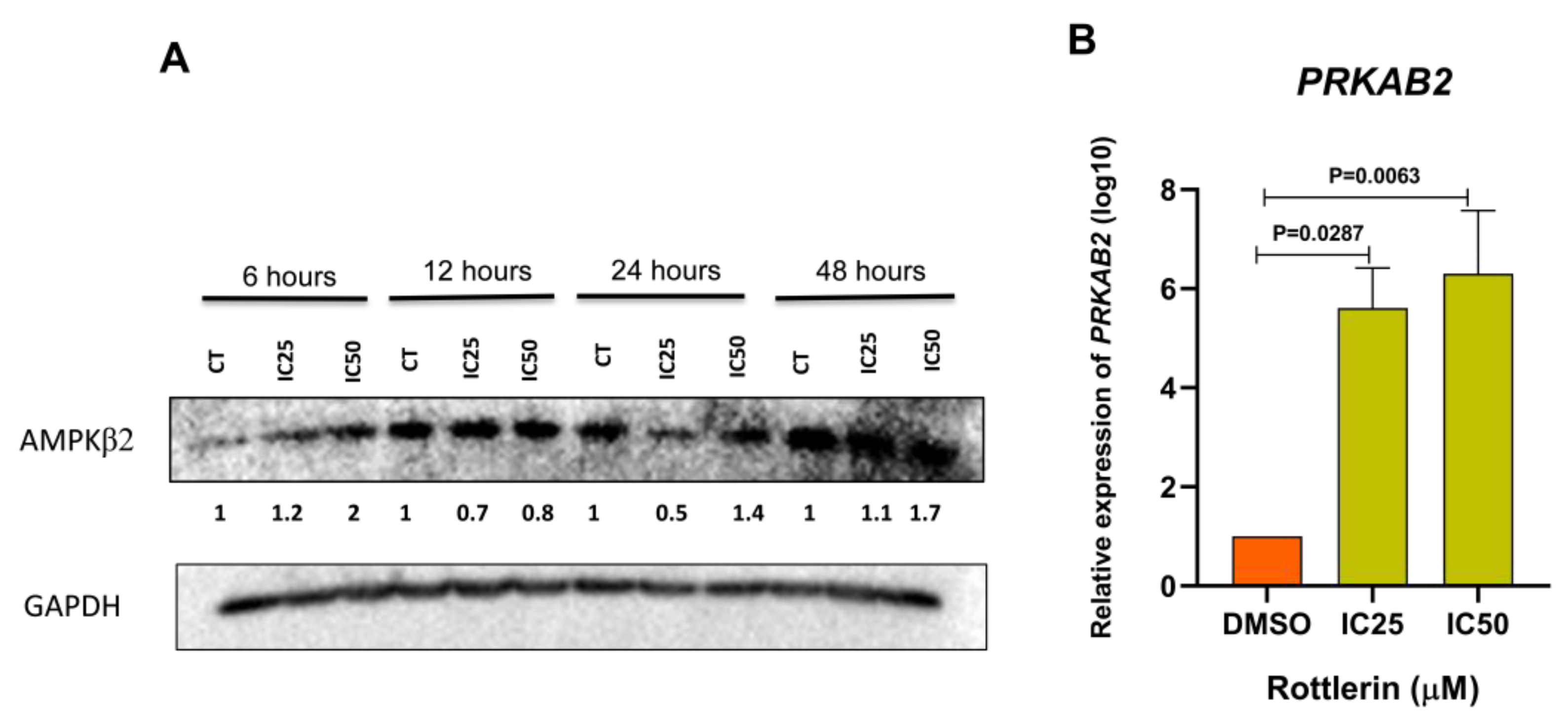 Cancers 16 01094 g005 Cancers 16 01094 g005