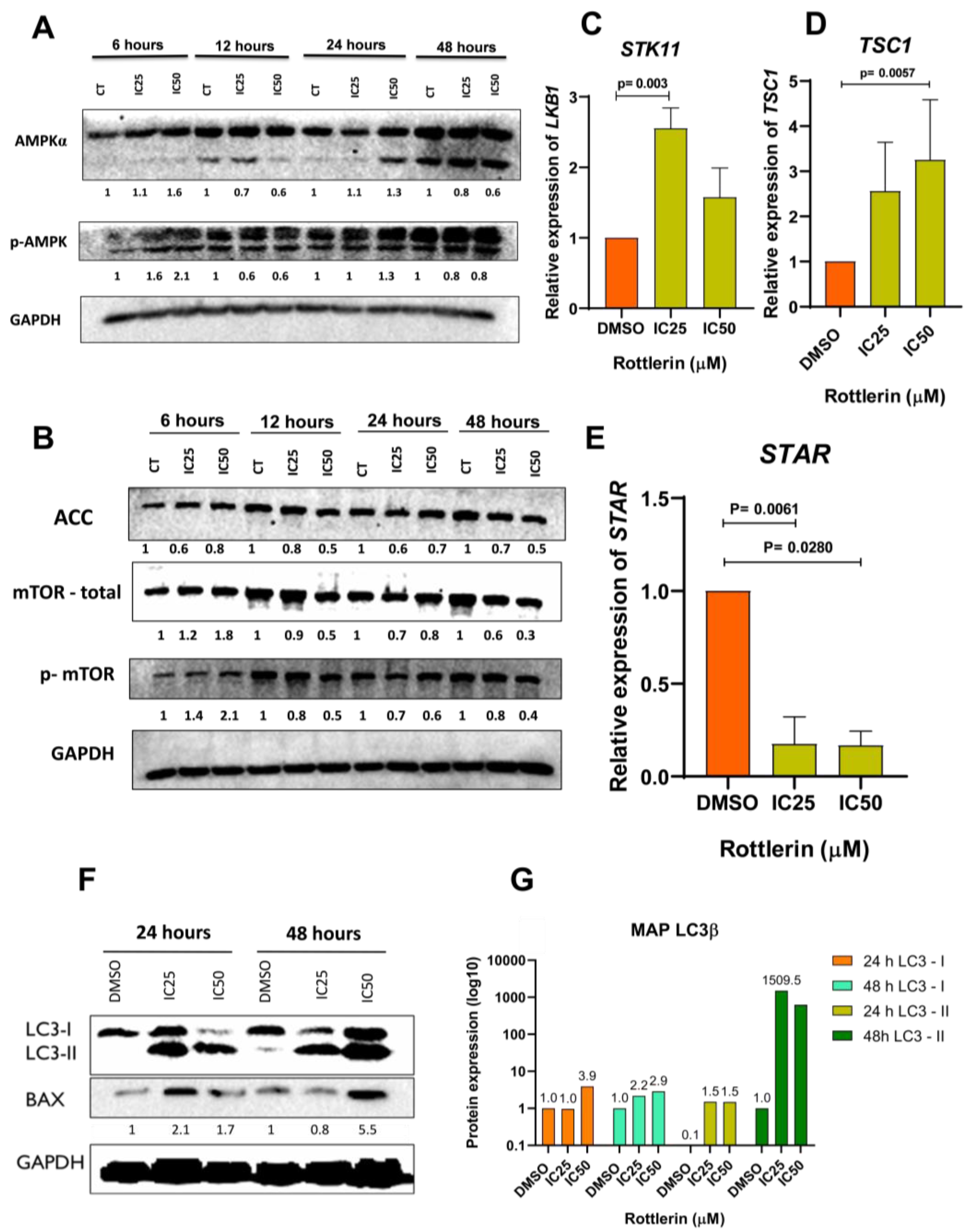 Cancers 16 01094 g006 Cancers 16 01094 g006