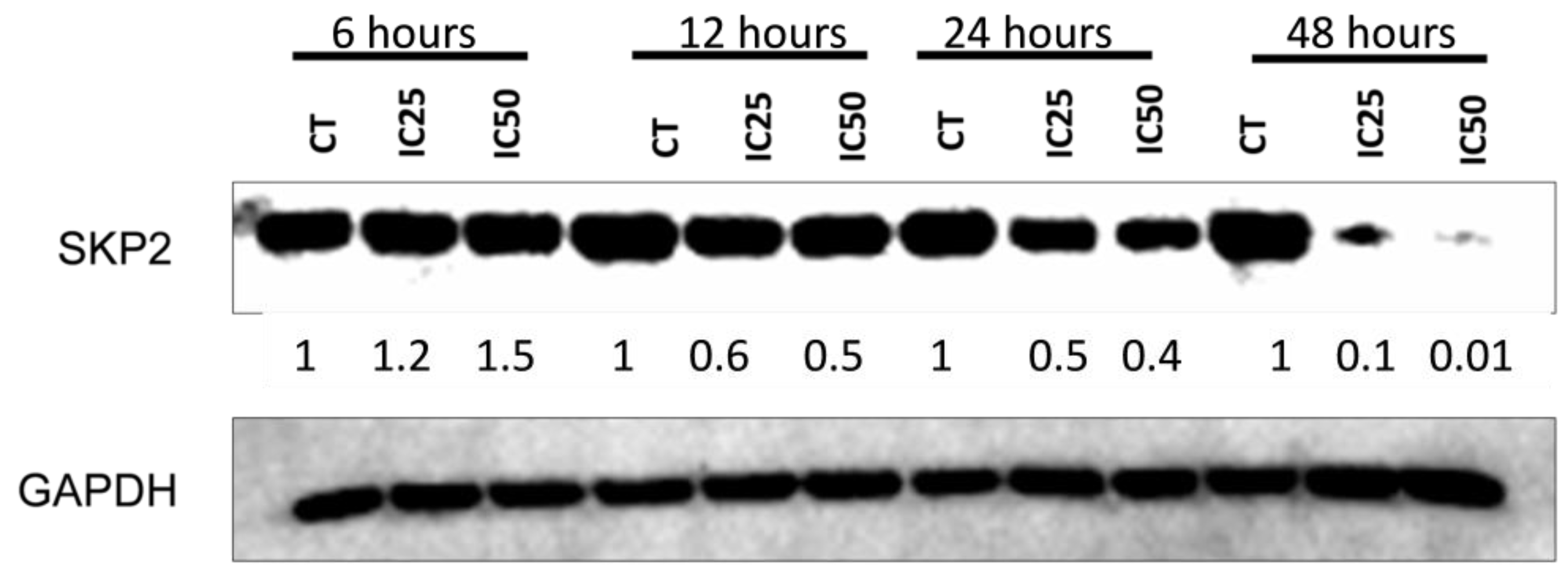 Cancers 16 01094 g009 Cancers 16 01094 g009