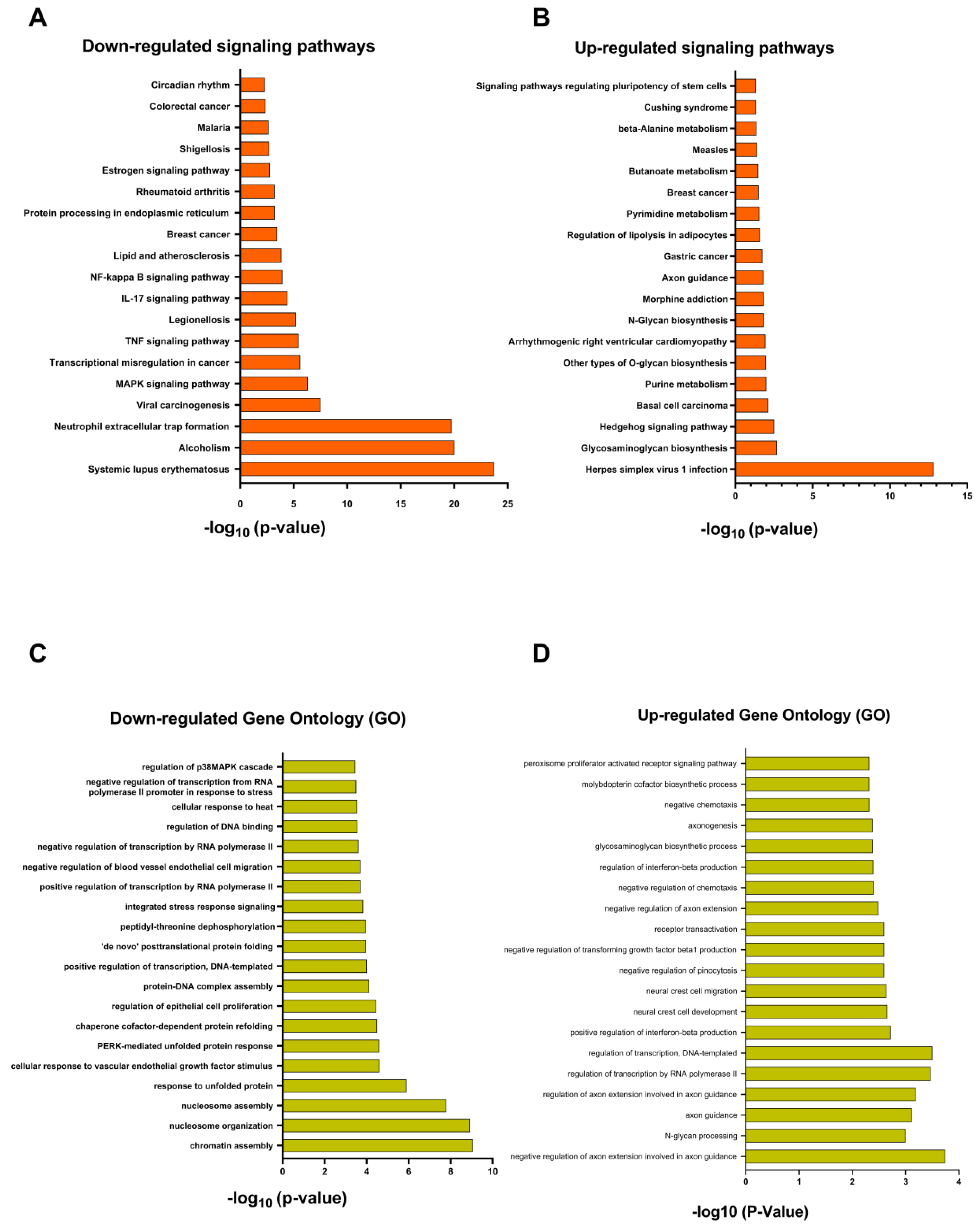 Cancers 16 01094 g010 Cancers 16 01094 g010